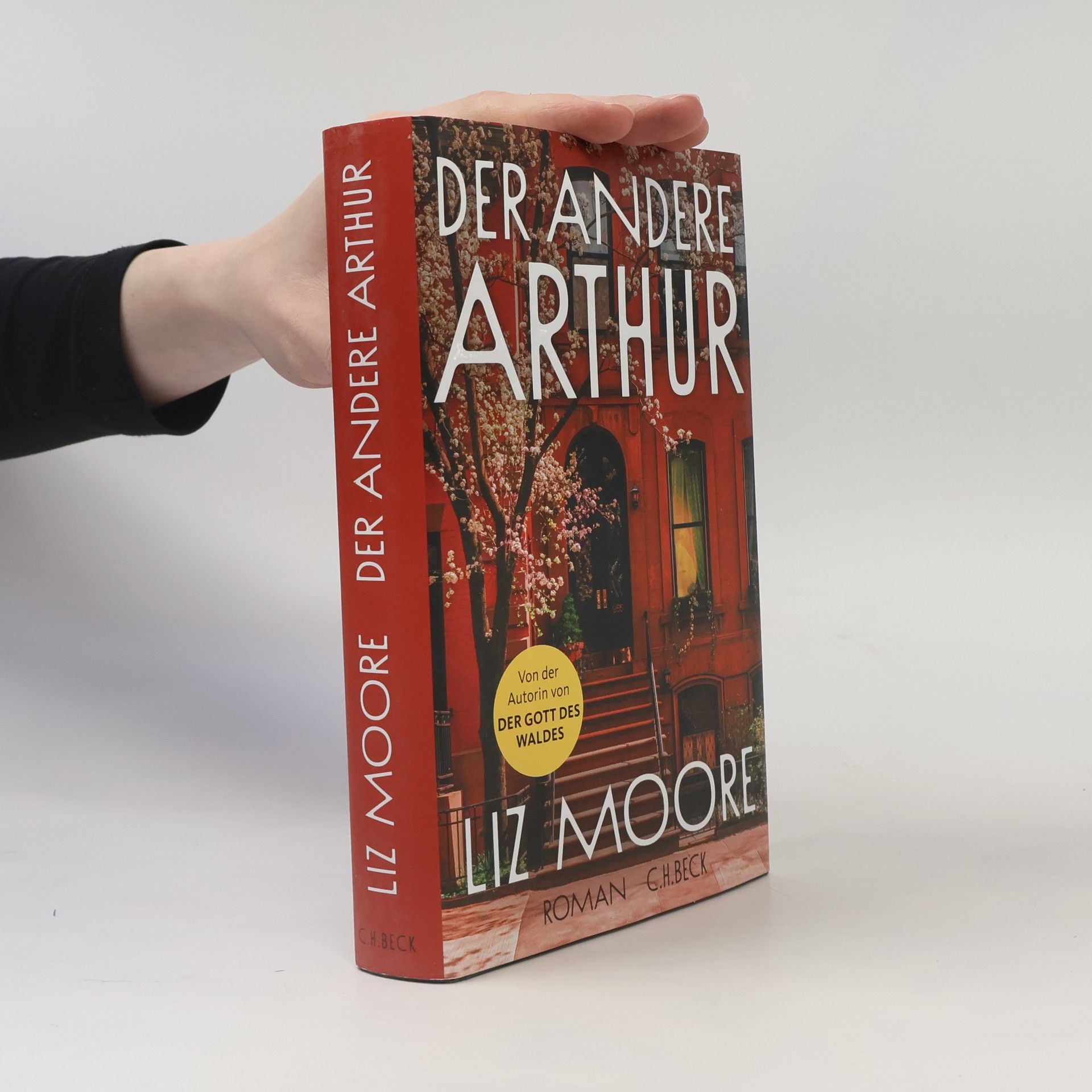 Liz Moore Der andere Arthur