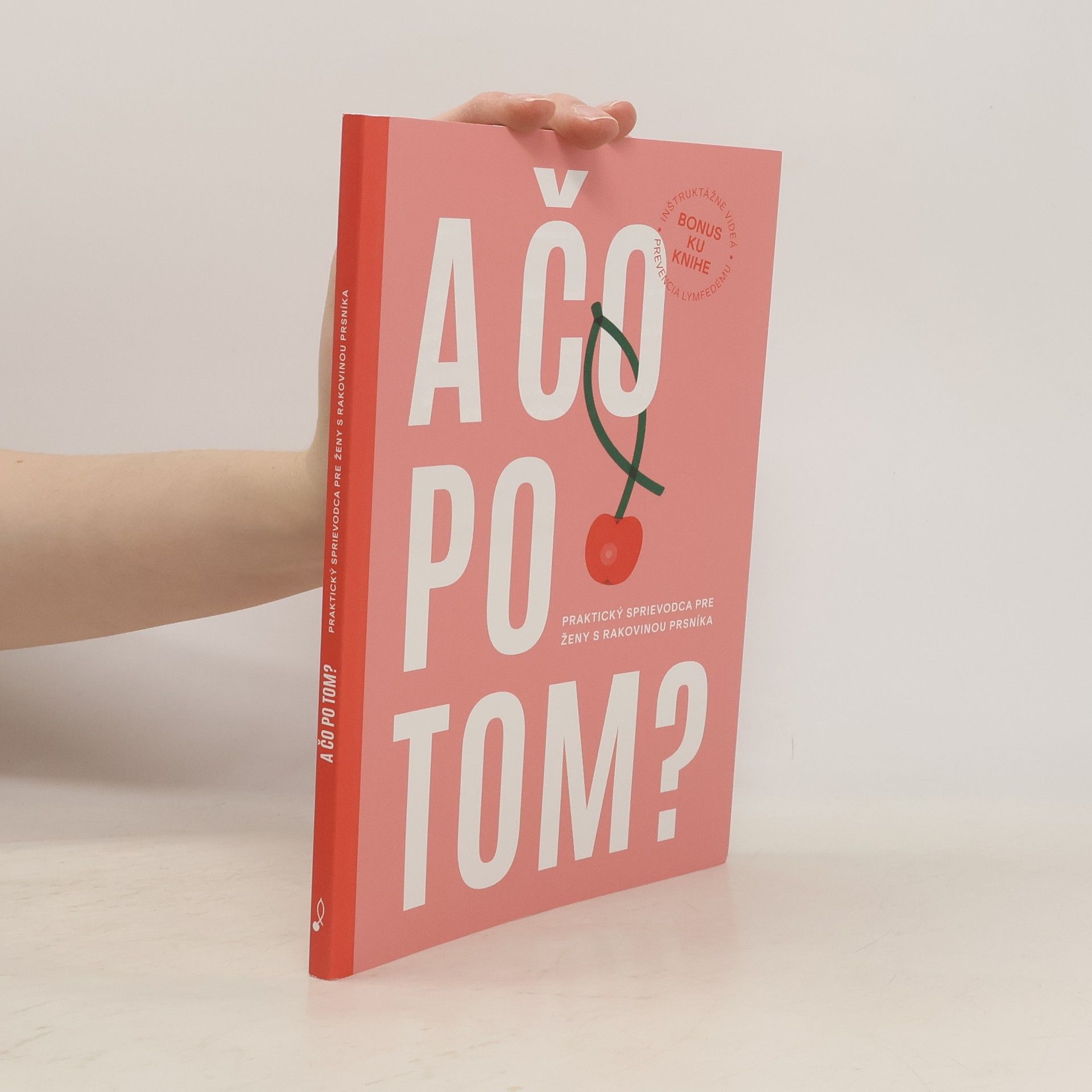 Anna Brňáková A čo po tom?