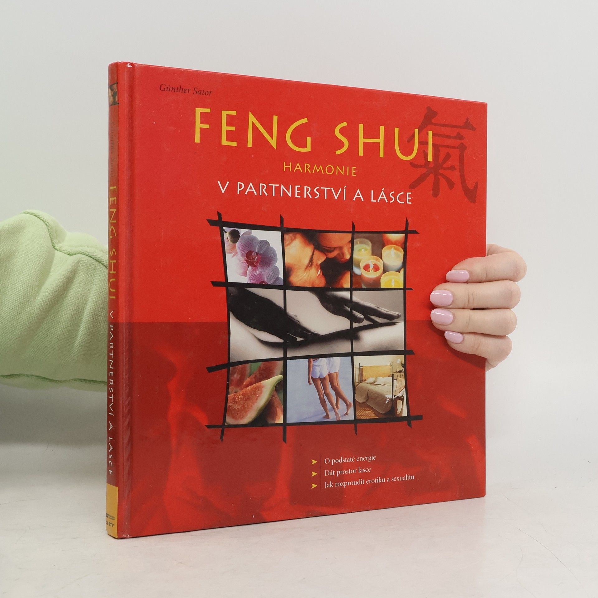 Günther Sator Feng shui. Harmonie v partnerství a lásce