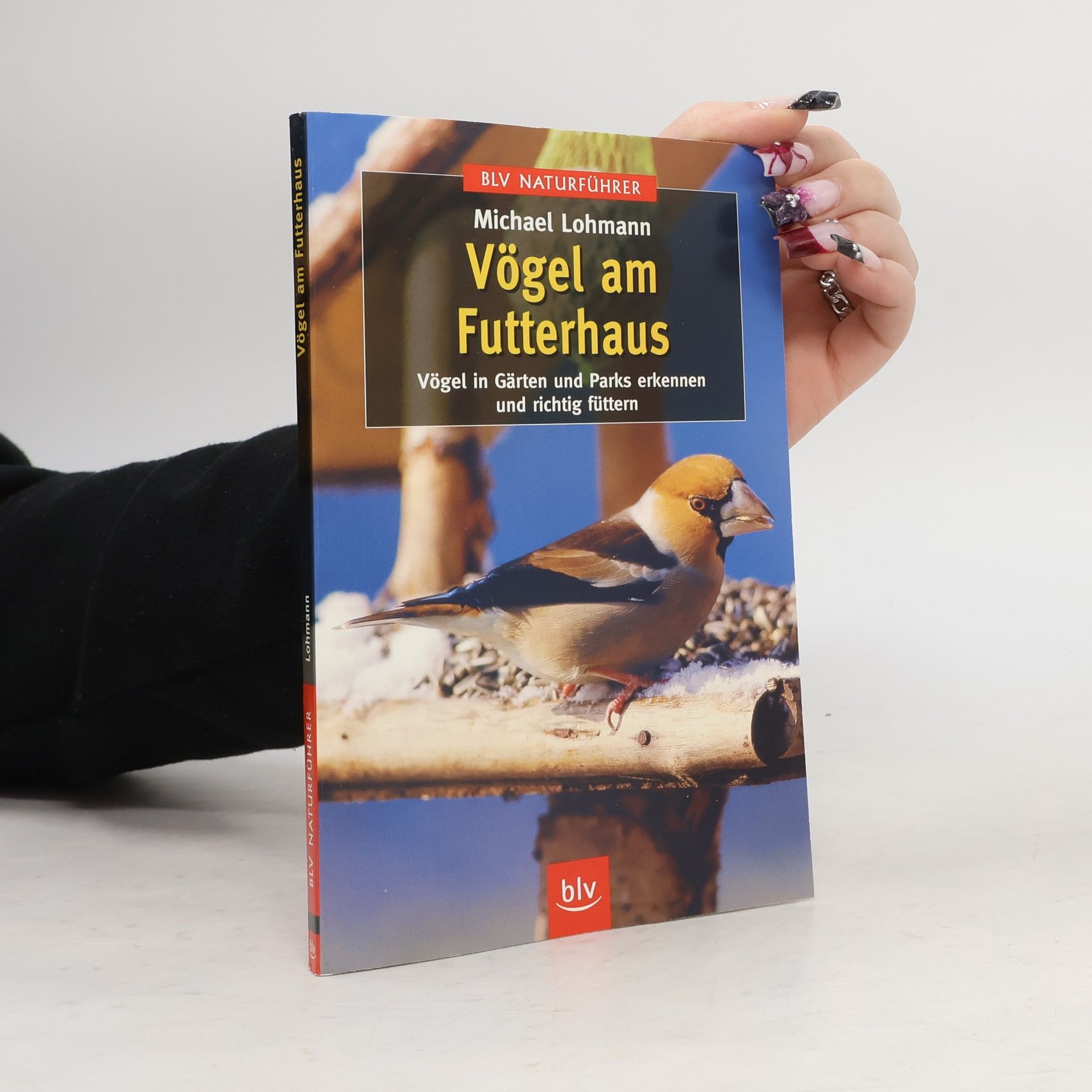 Michael Lohmann Vögel am Futterhaus