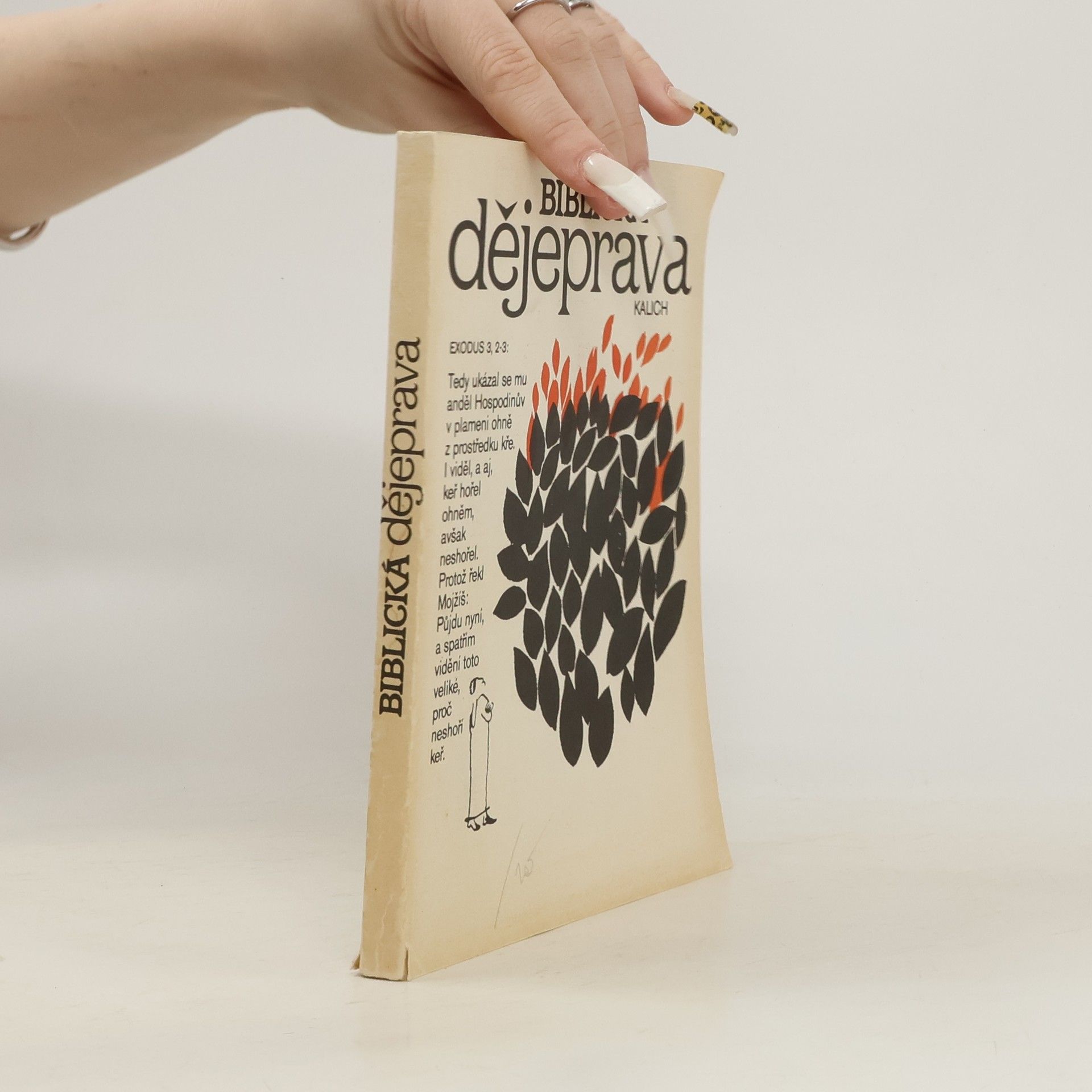 Viktor Hájek Biblická dějeprava