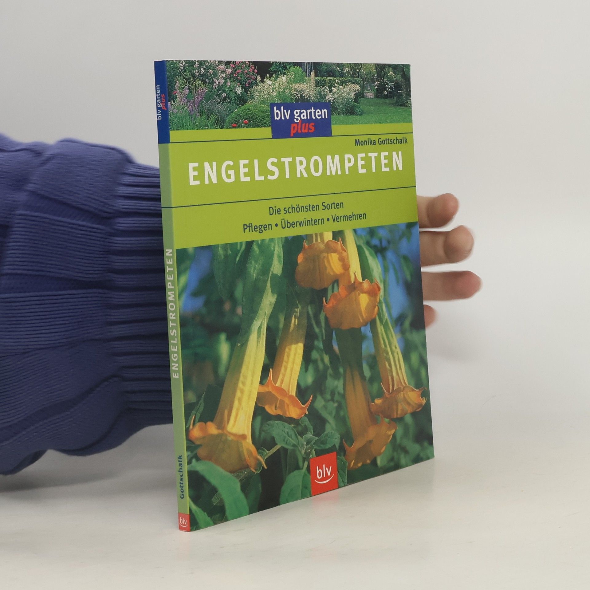 Monika Gottschalk Engelstrompeten