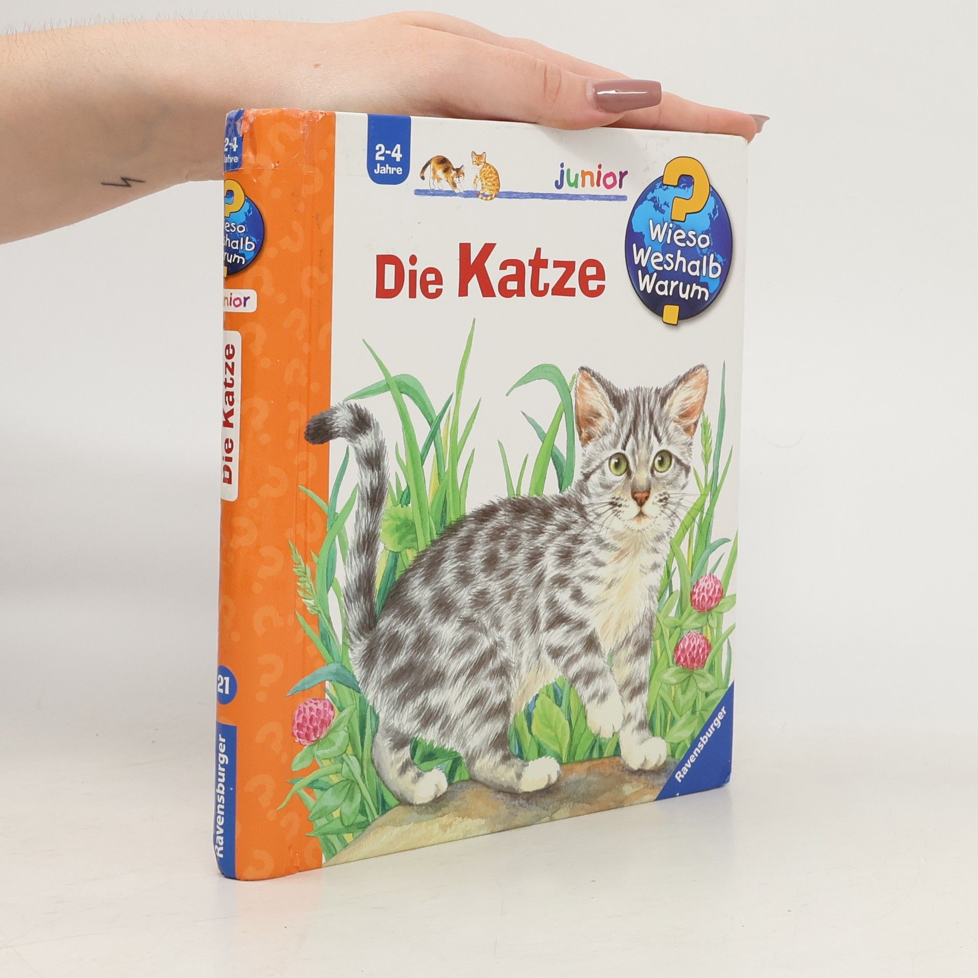 Ursula Weller Die Katze