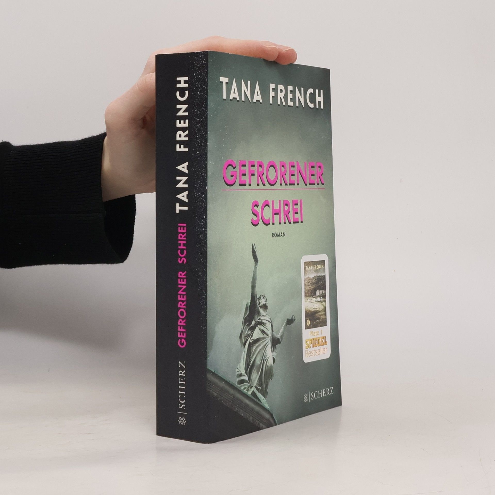 Tana French Gefrorener Schrei