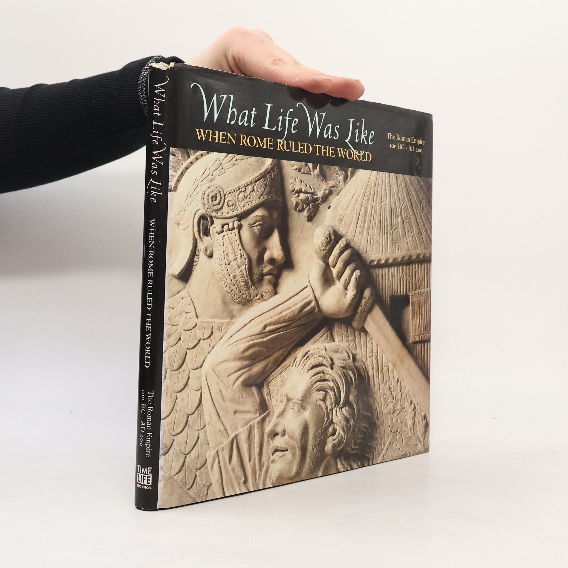 Autores varios What Life Was Like