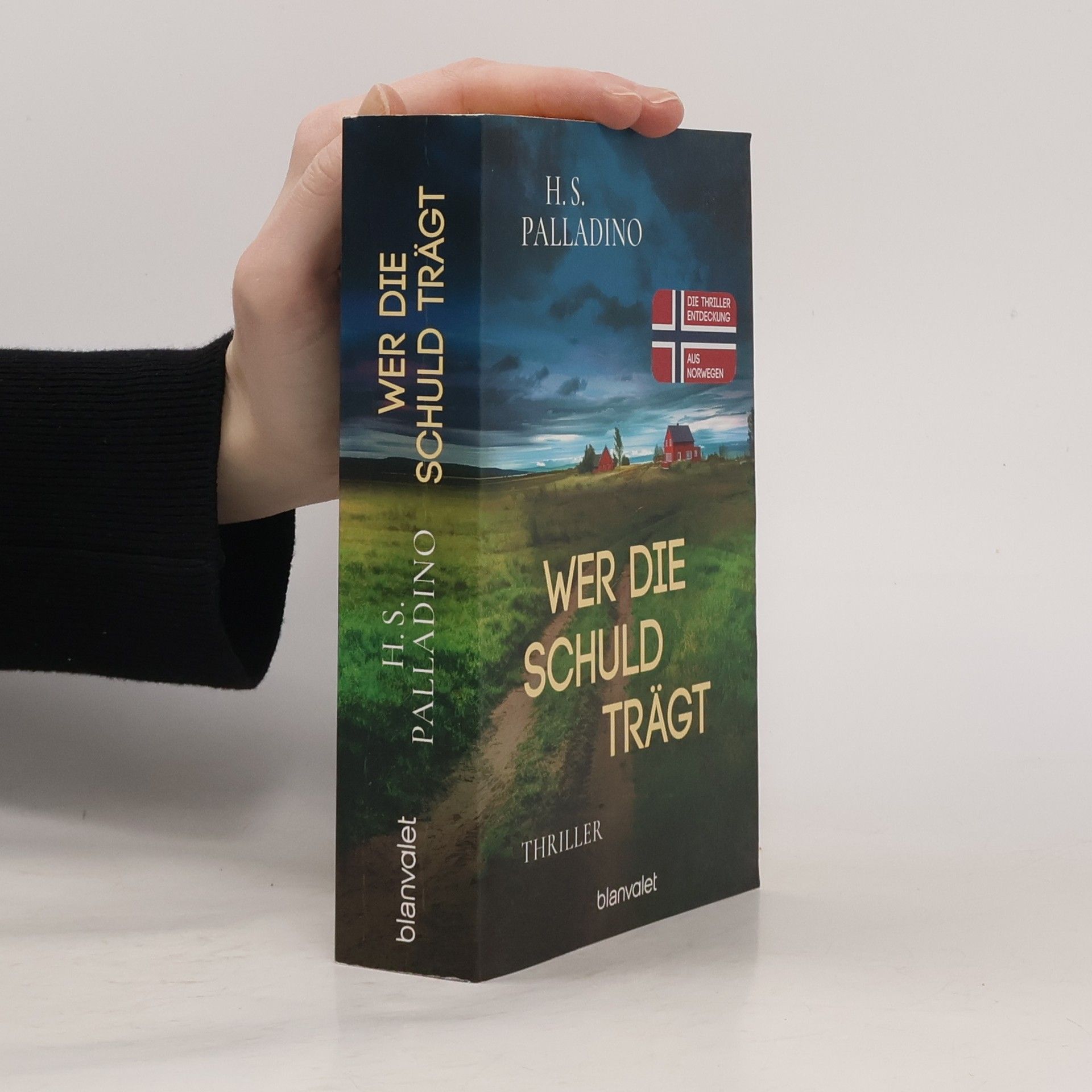 H.S. Palladino Wer die Schuld trägt