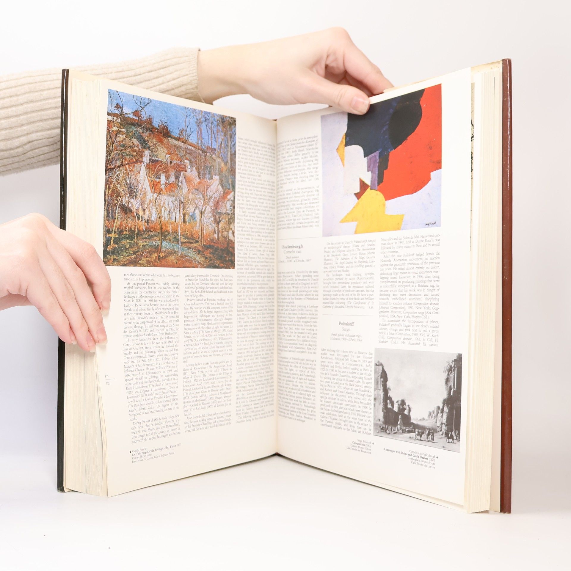 Autorenkollektiv Larousse Dictionary of Painters