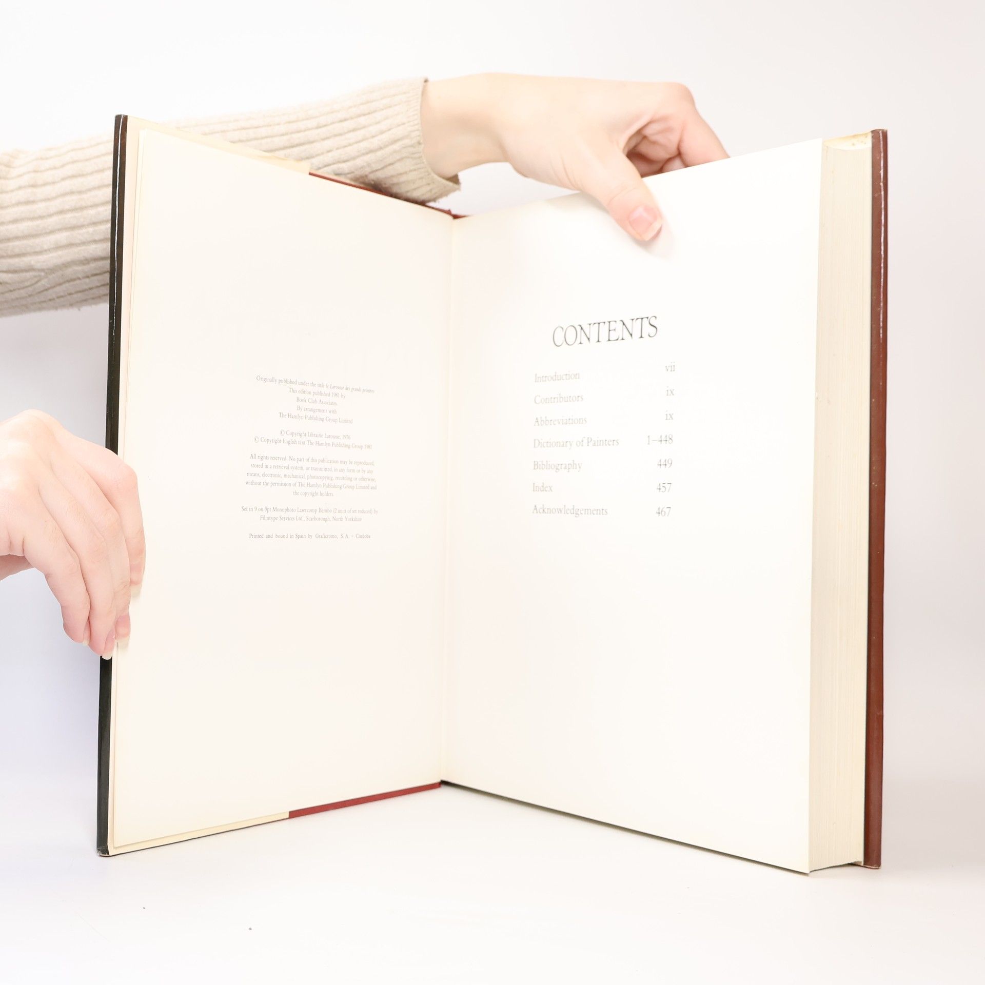 Autorenkollektiv Larousse Dictionary of Painters