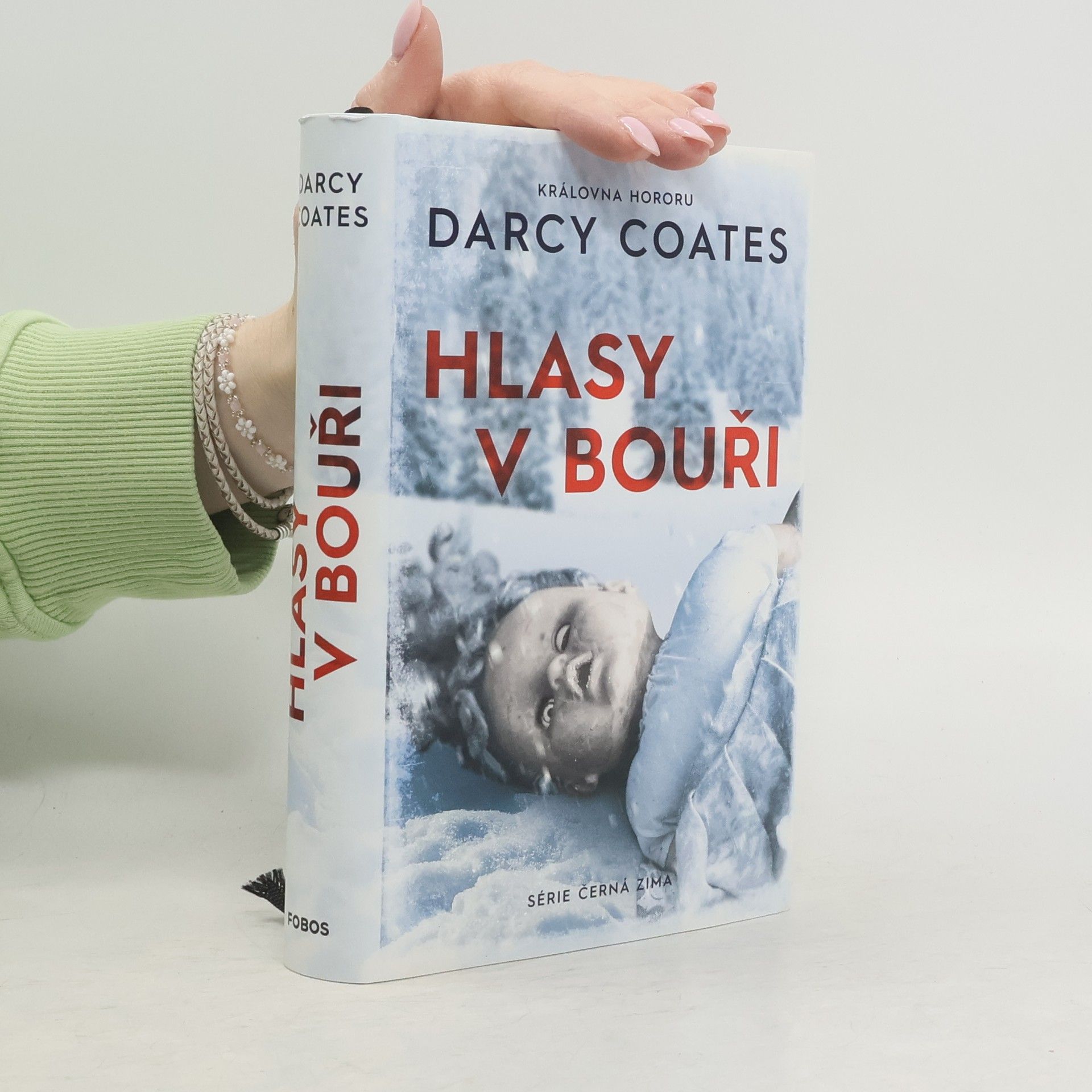 Darcy Coates Hlasy v bouři