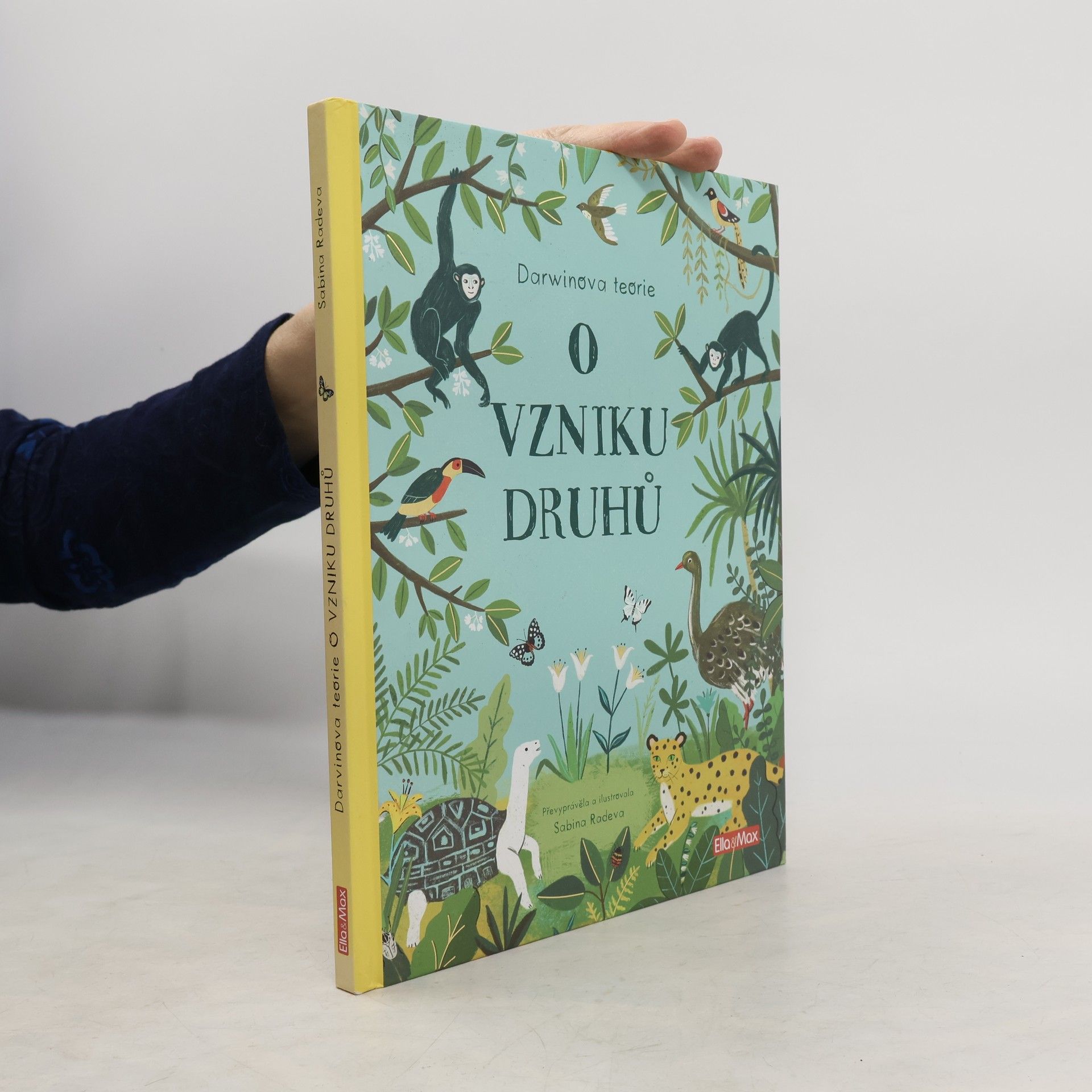 Sabina Radeva O vzniku druhů