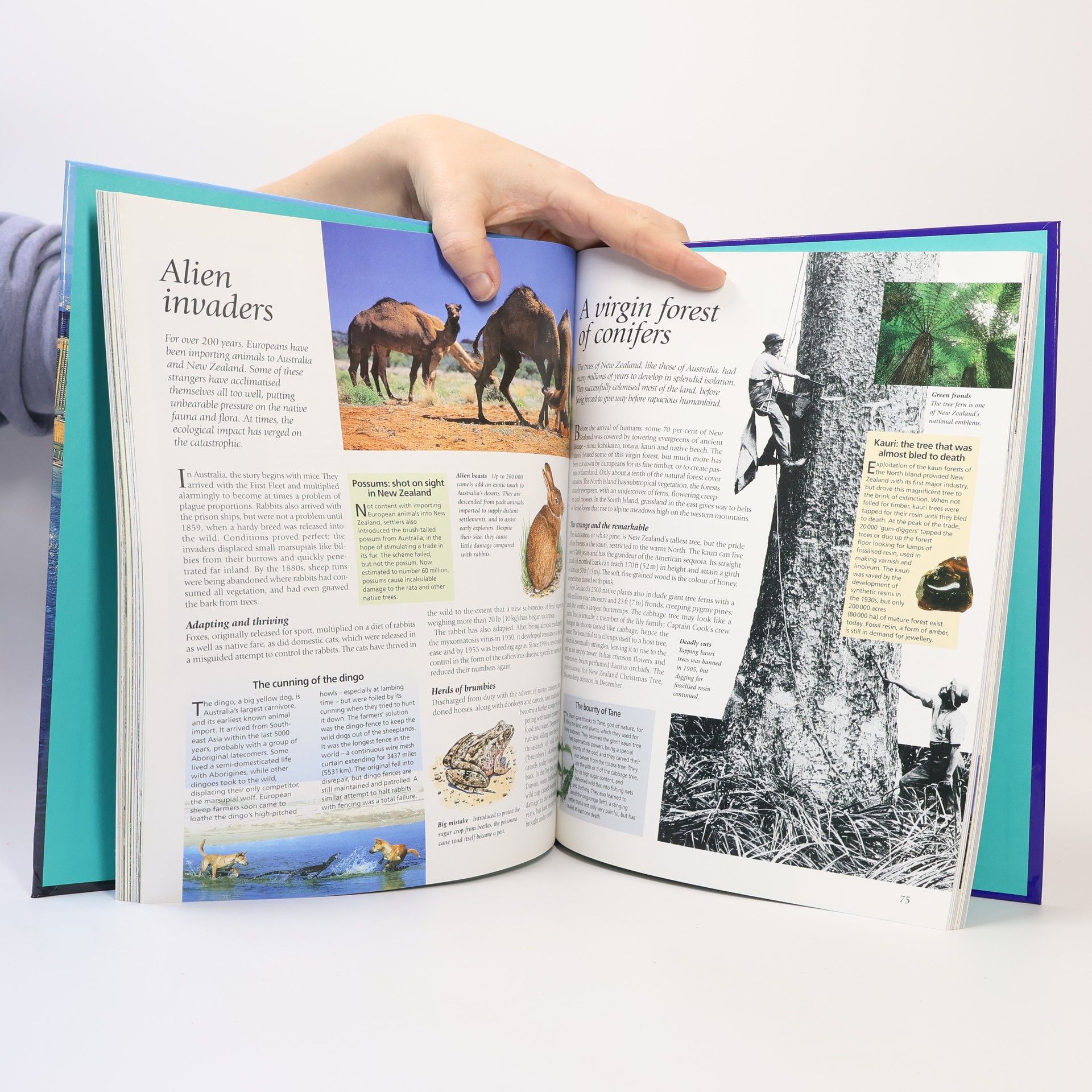 Richard Walker Discover Australia and New Zealand