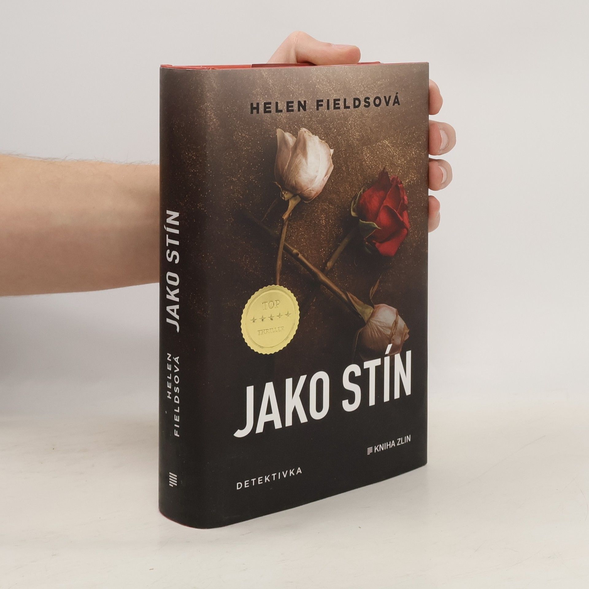 Helen Fields Jako stín