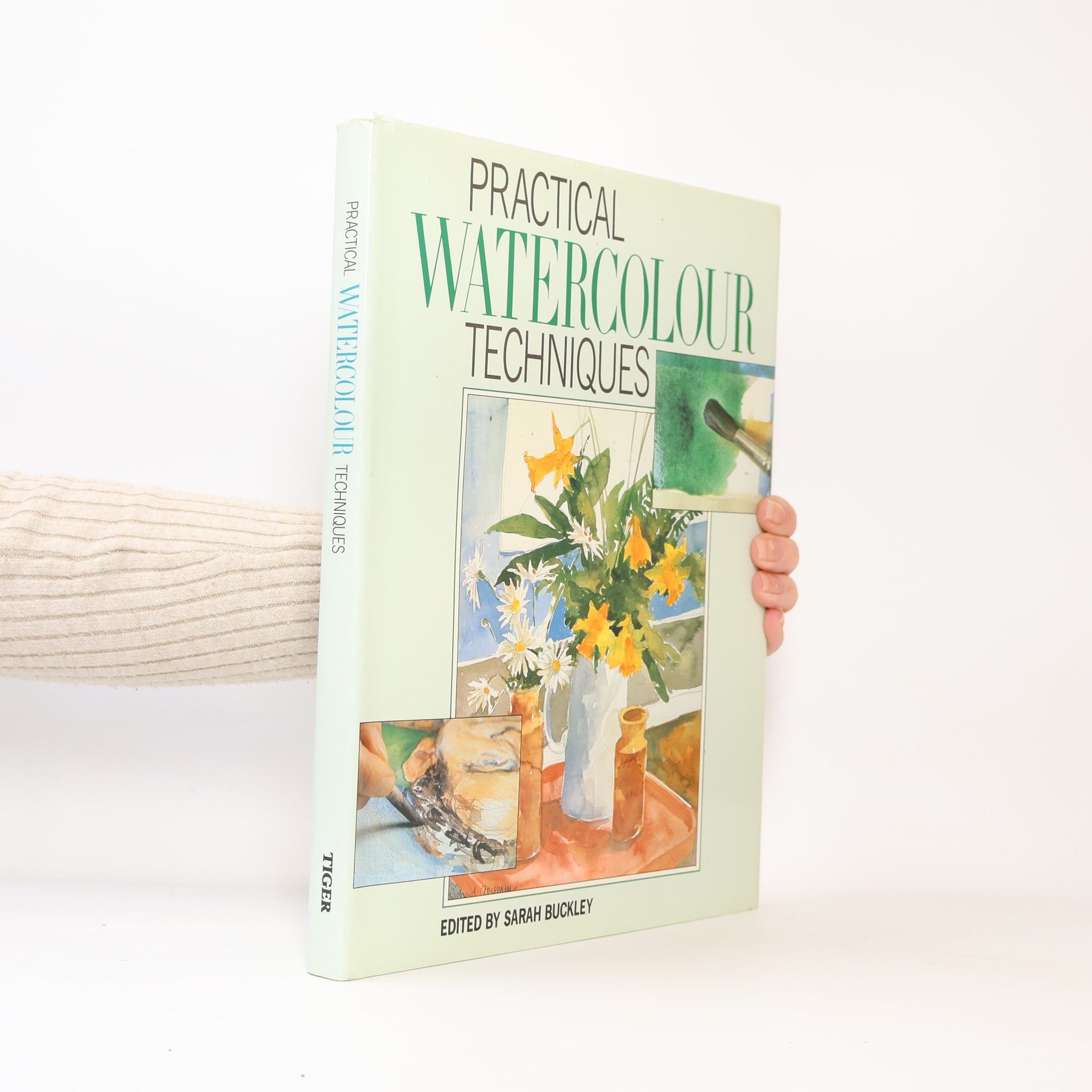 Sarah Buckley Practical Watercolour Techniques