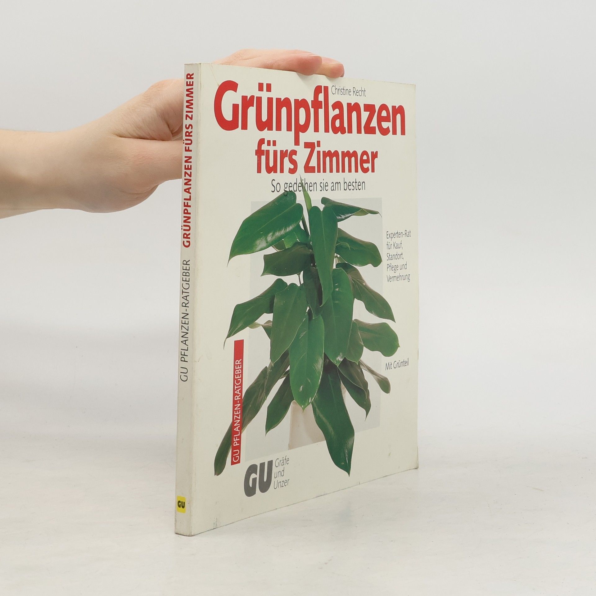 Kolektiv autorů Grünpflanzen fürs Zimmer