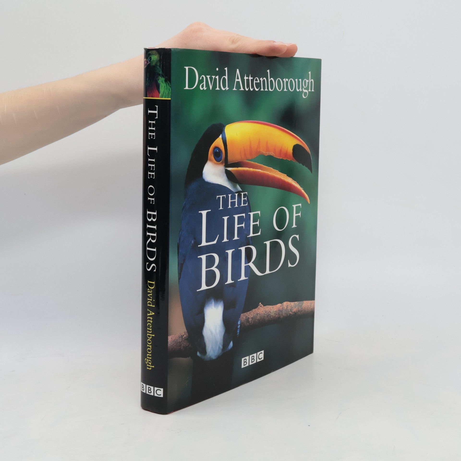 David Attenborough The Life of Birds