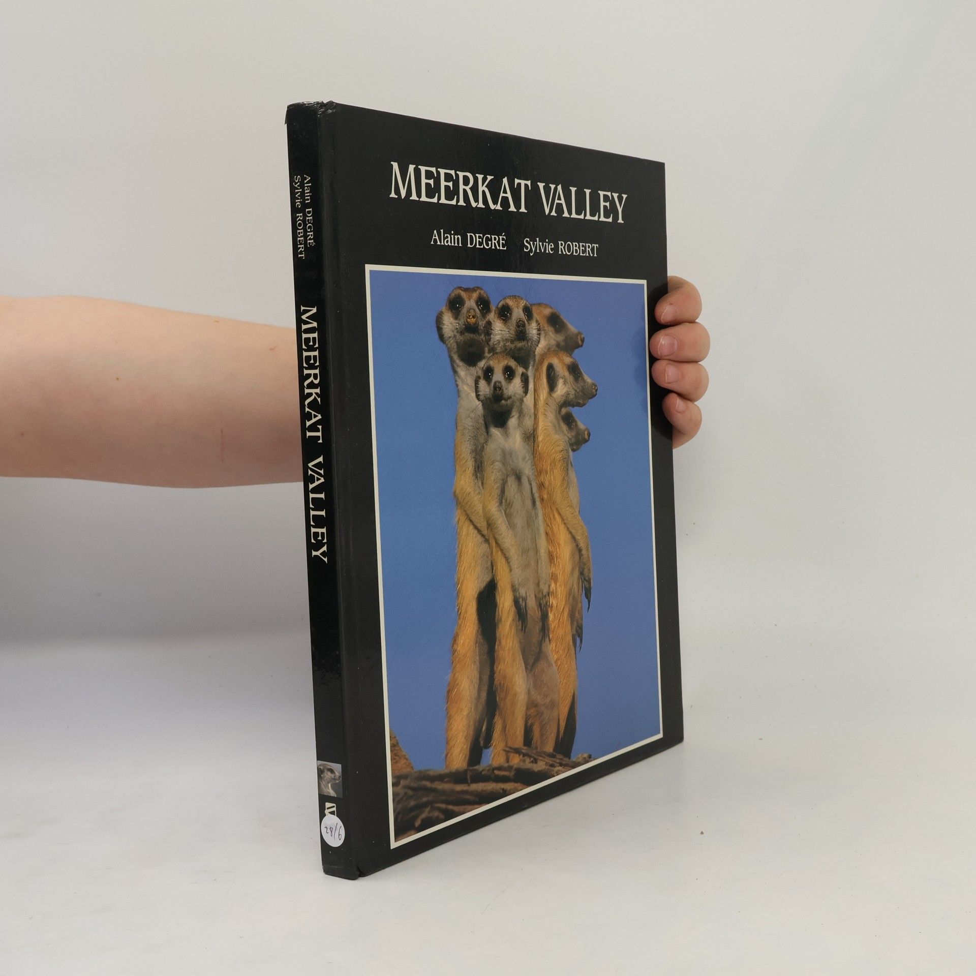 Alain Degre Meerkat Valley