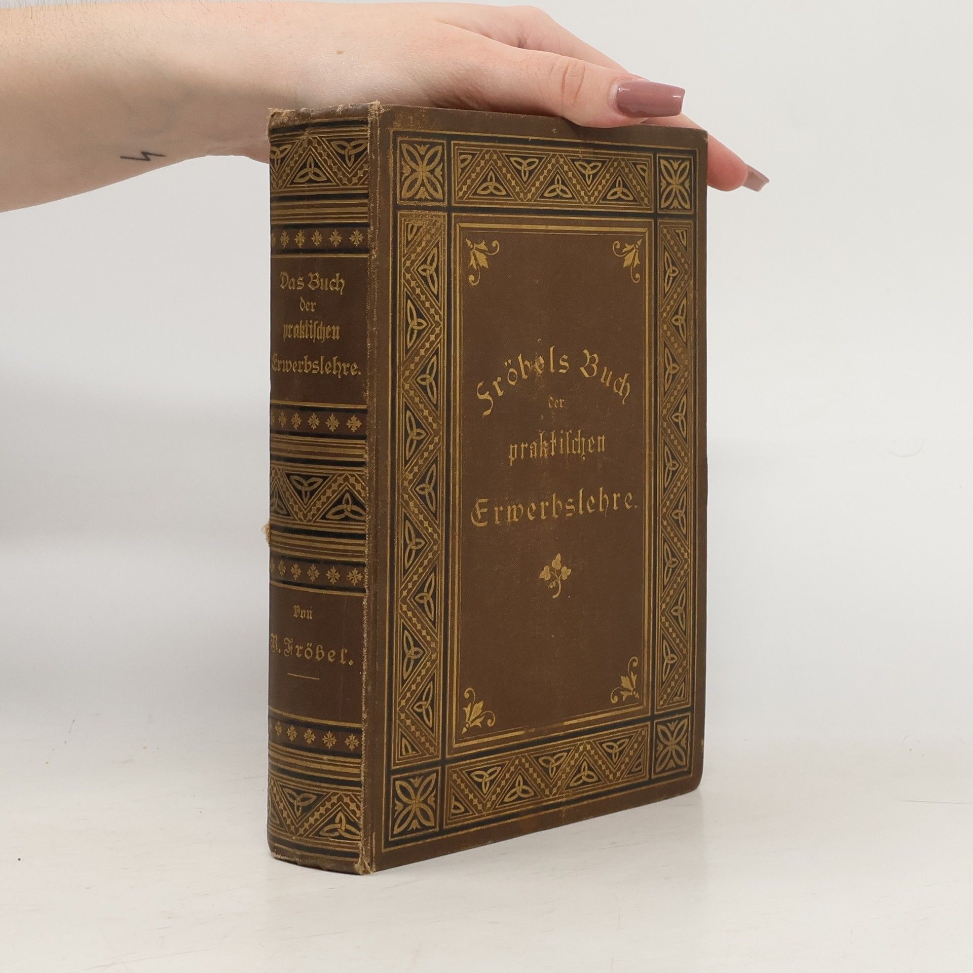 Reinhold Fröbel Das Buch der praktischen Erwerbslehre