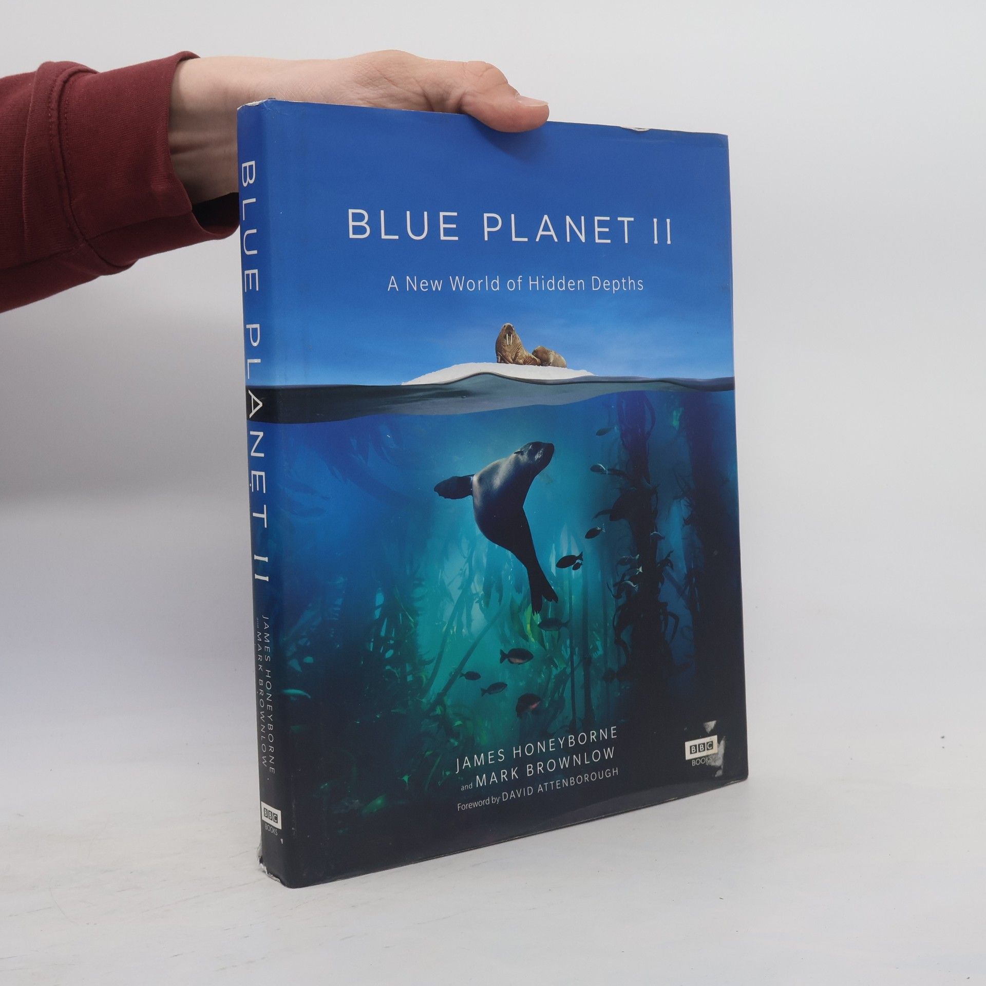 James Honeyborne Blue Planet II