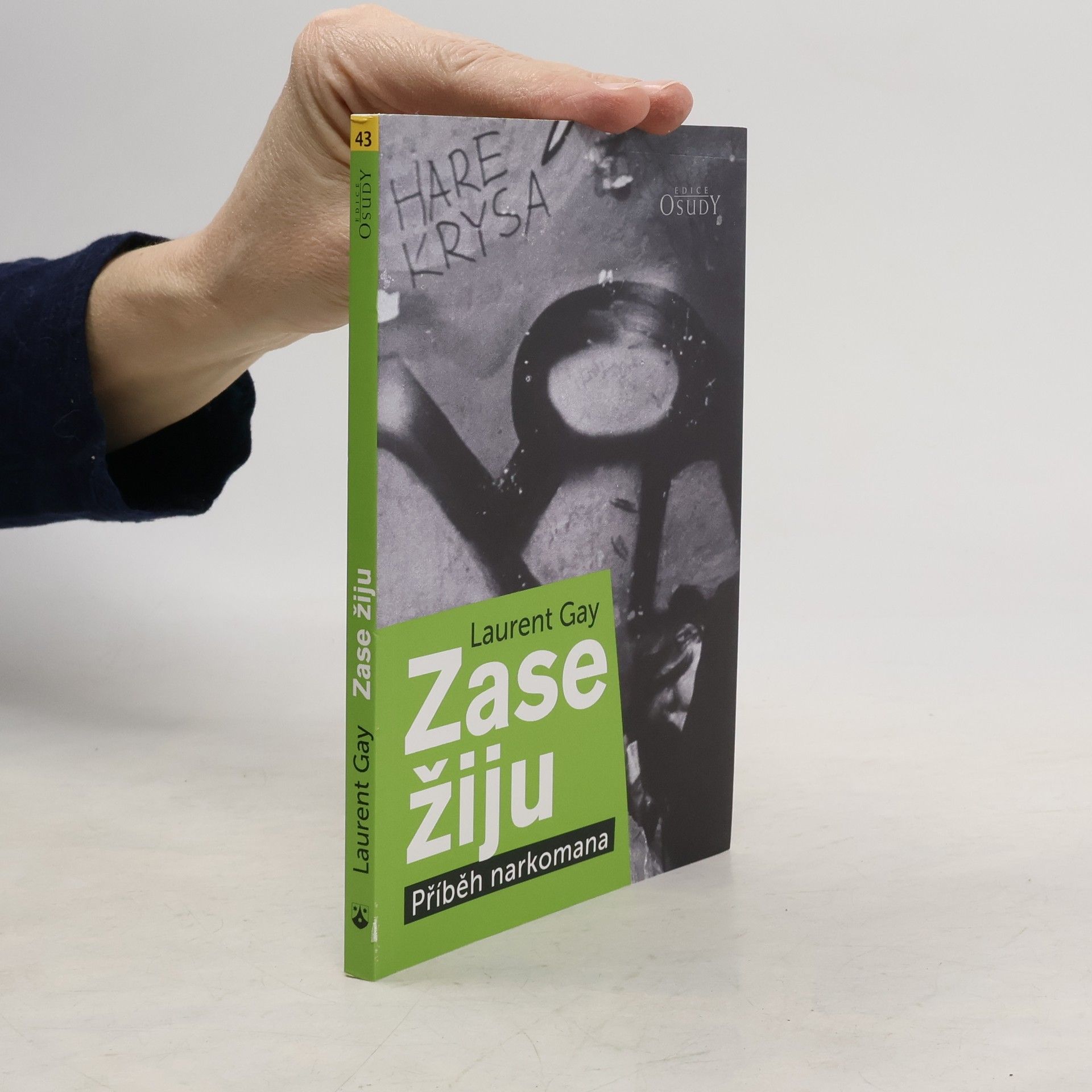 Laurent Gay Zase žiju: Příběh narkomana