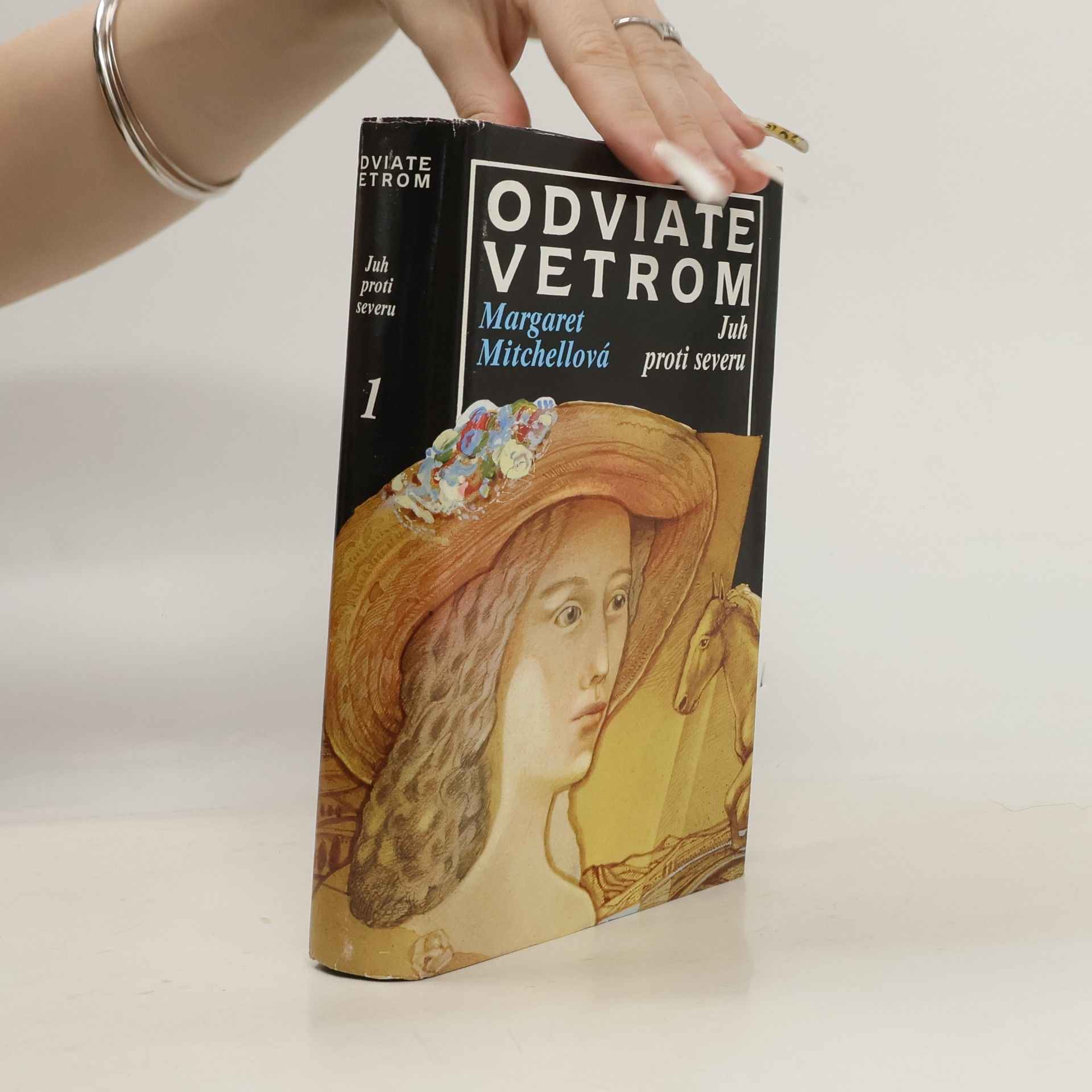 Margaret Mitchell Odviate vetrom 1. Juh proti severu