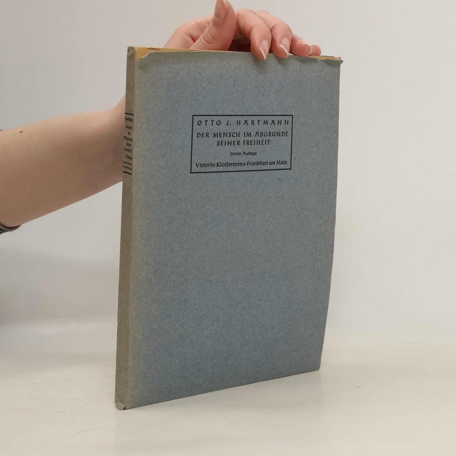 Der Mensch im Abgrunde seiner Freiheit