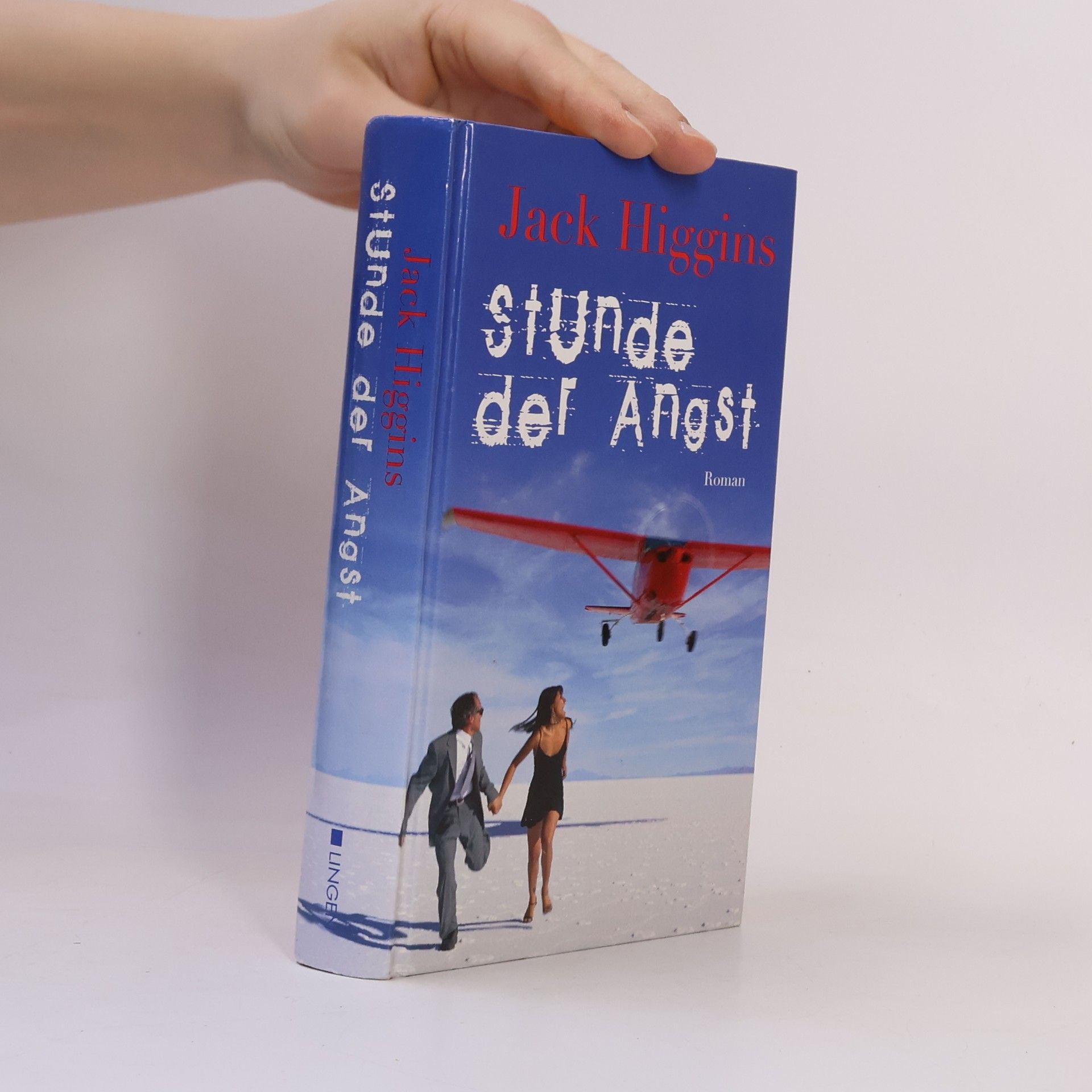 Jack Higgins Stunde der Angst