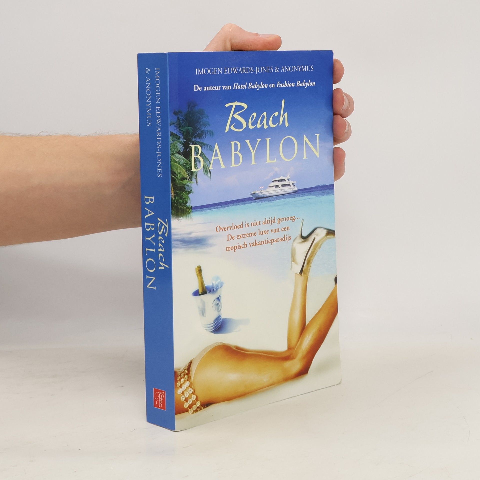 Heleen Schneiders Beach Babylon