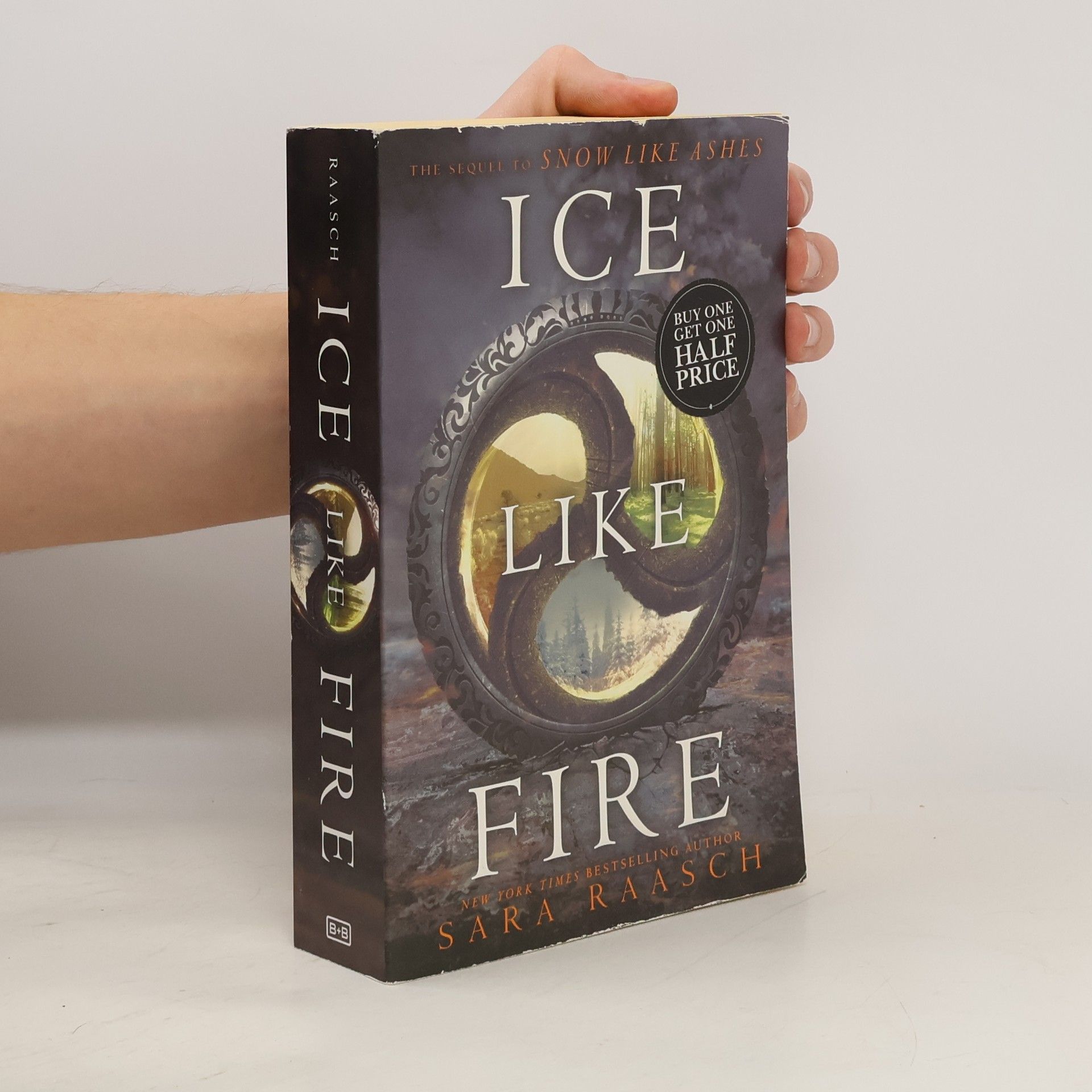 Sara Raasch Ice Like Fire