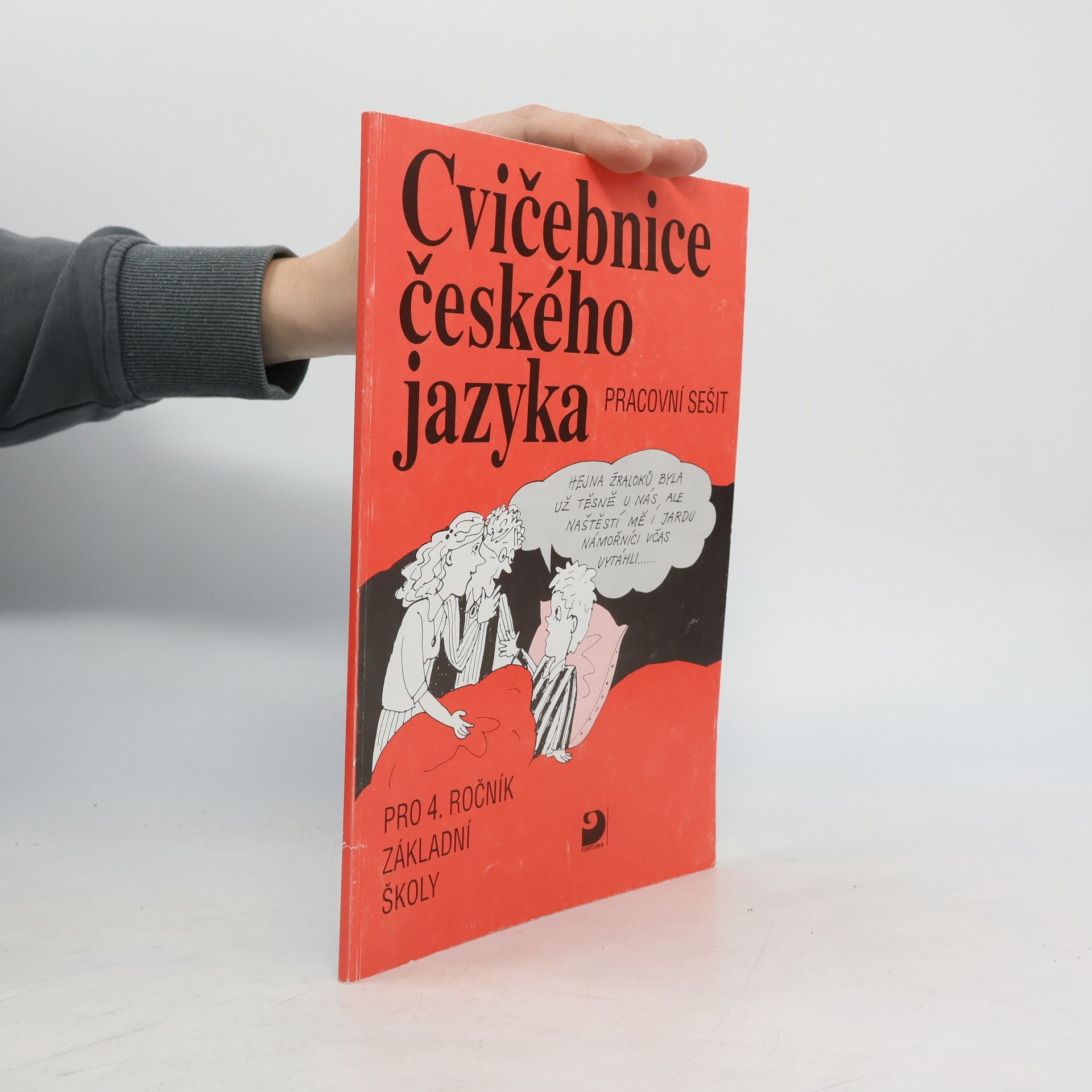 Cvičebnice českého jazyky pro 4.ročník základní školy - pracovní sešit
