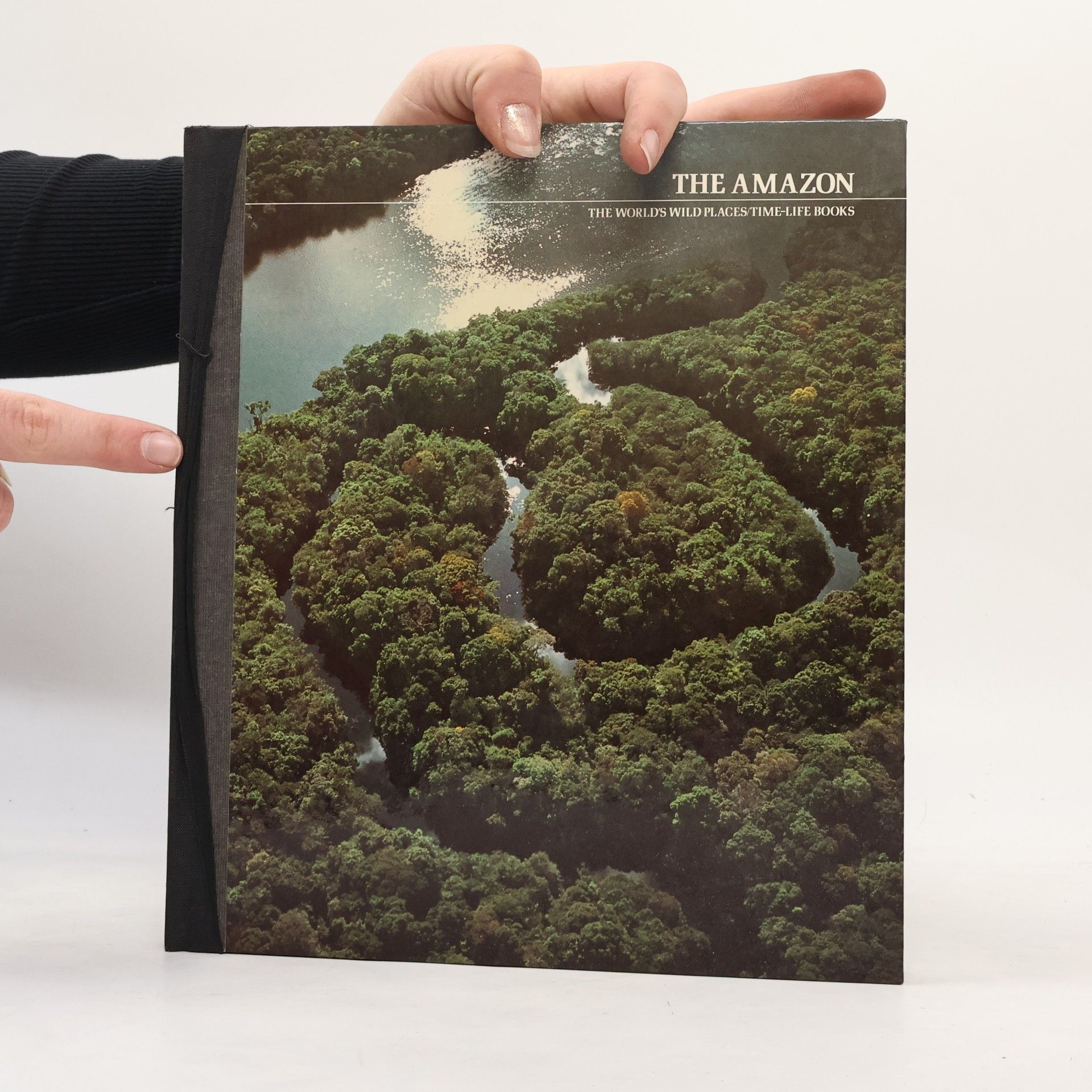 Autorenkollektiv The Amazon