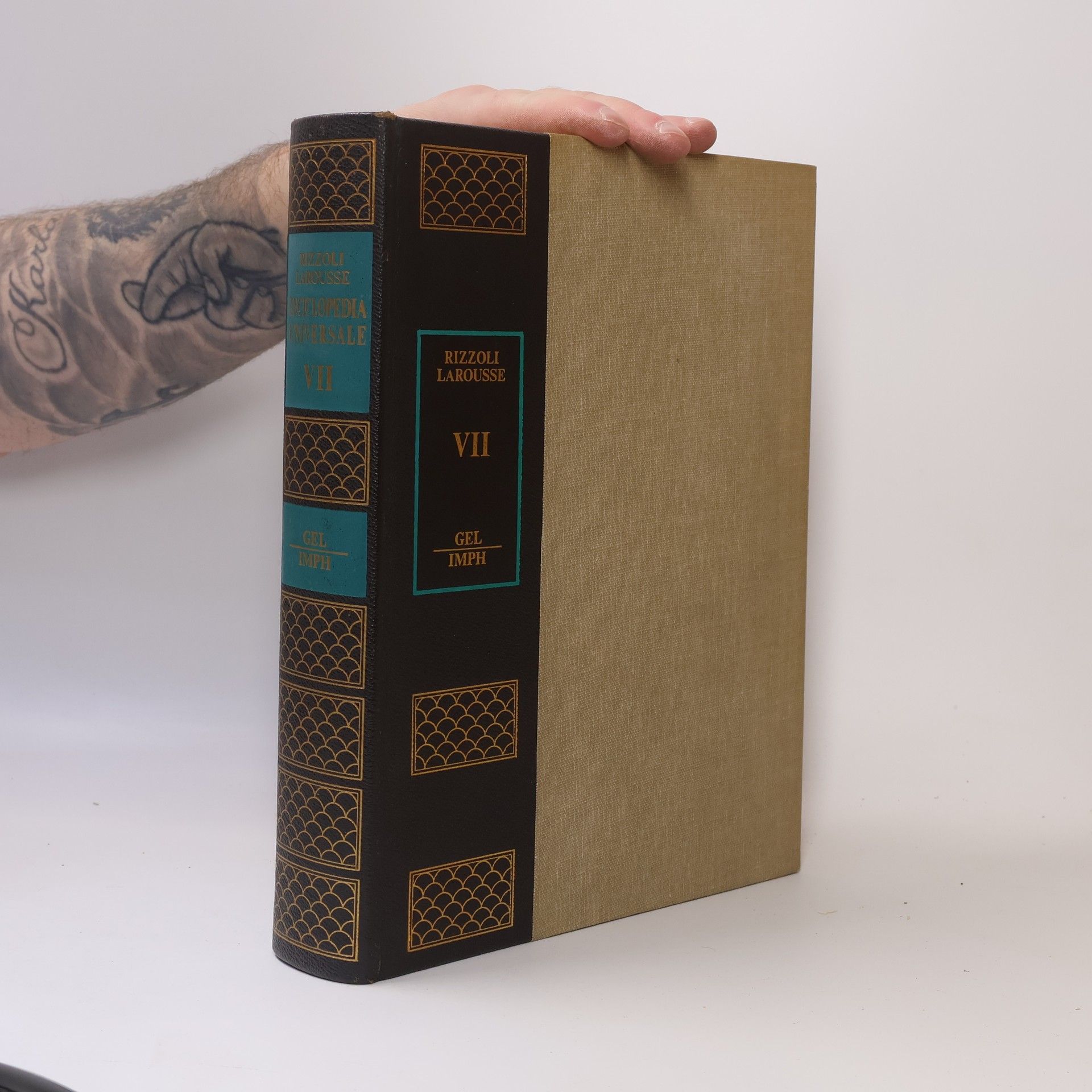 AA.VV. Enciclopedia Universale Rizzoli Larousse VII