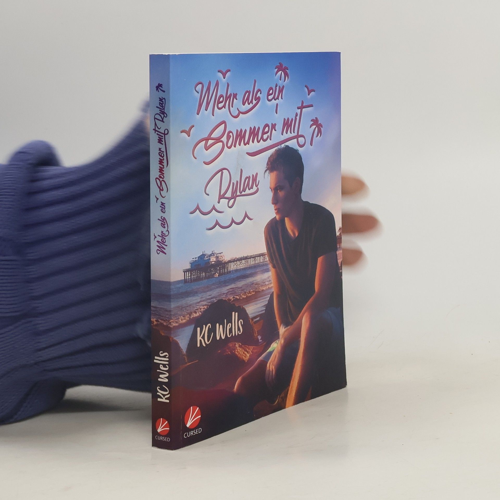 K.C. Wells Mehr als ein Sommer mit Rylan