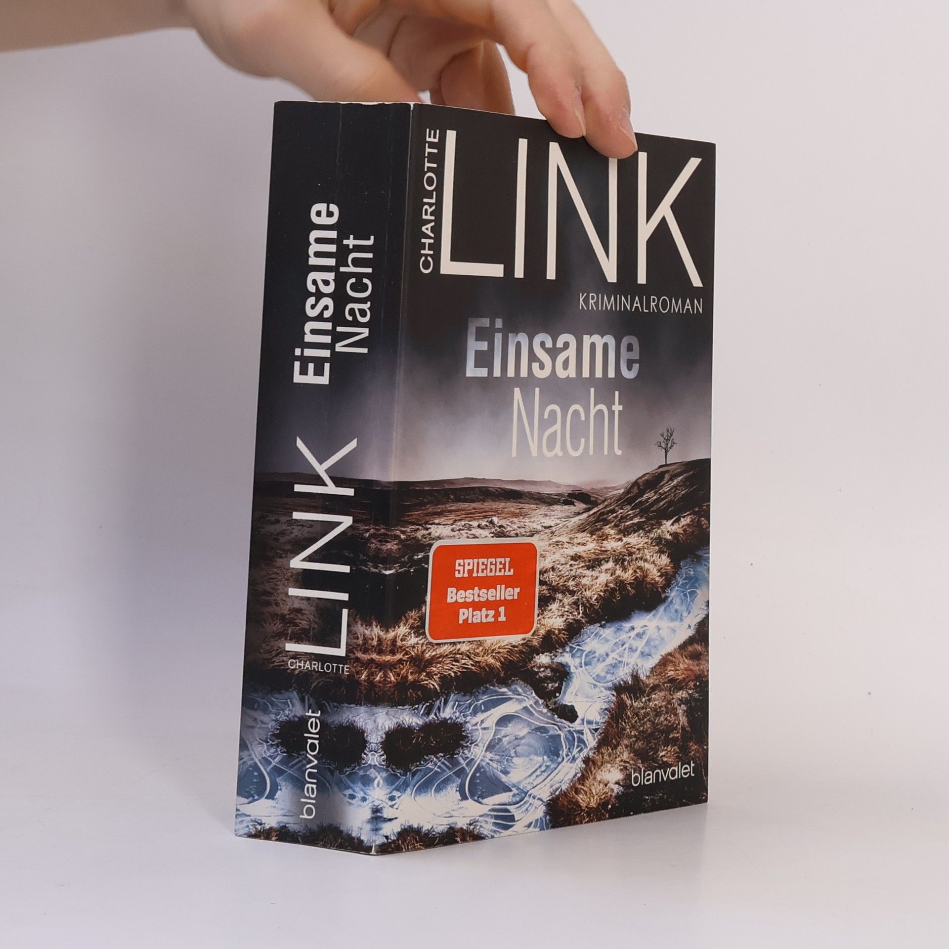 Charlotte Link Einsame Nacht