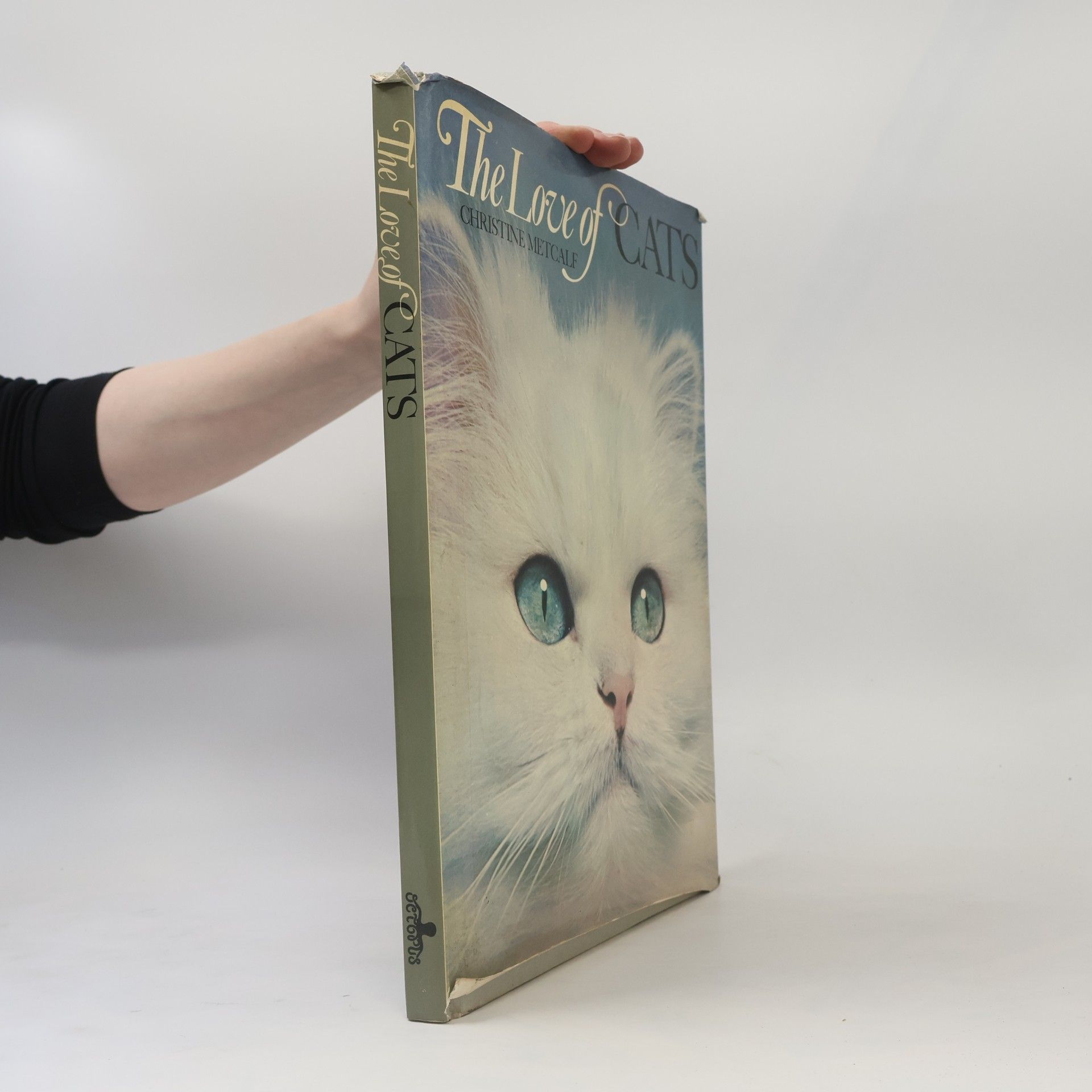 Christine Metcalf The Love of Cats