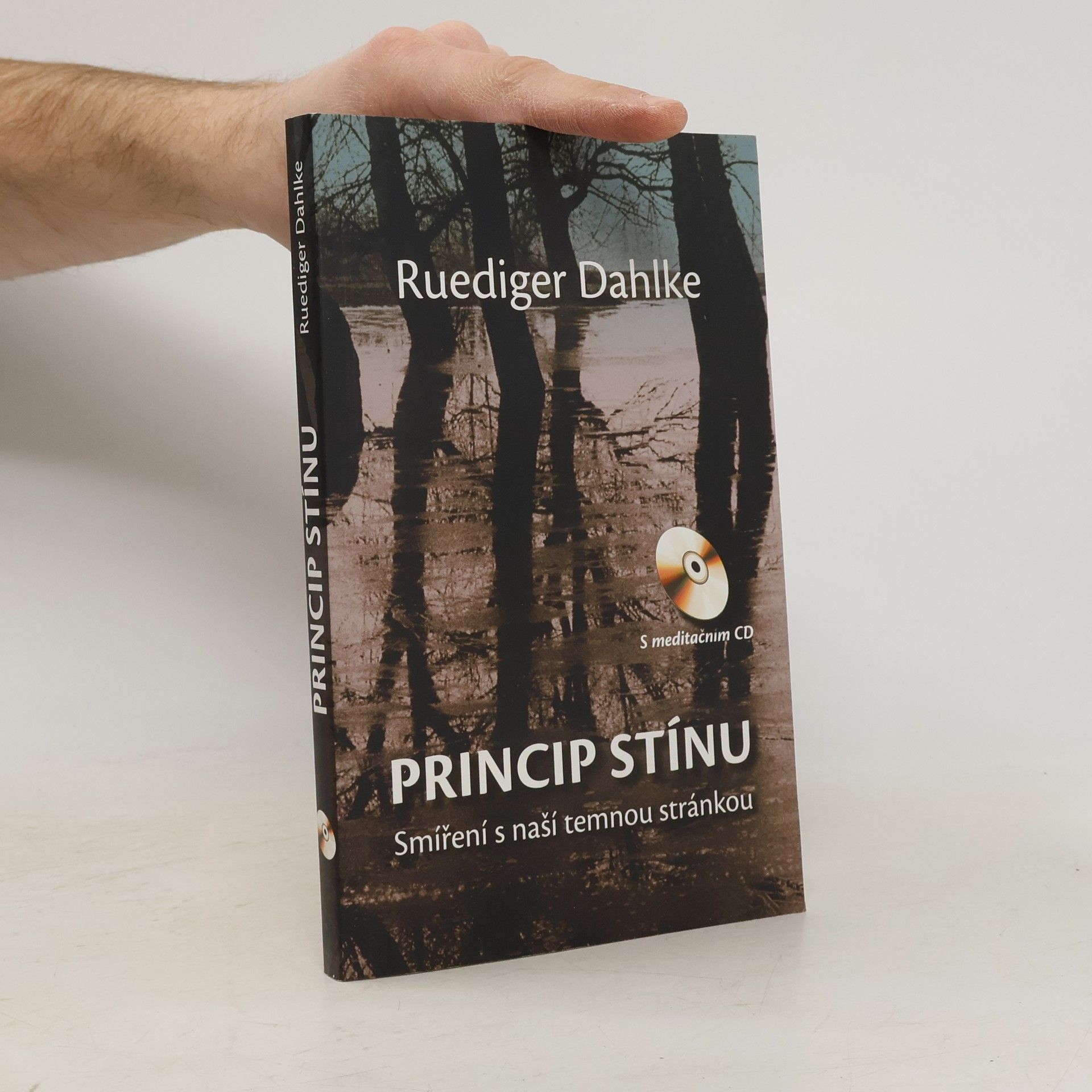 Ruediger Dahlke Princip stínu: Smíření s naší temnou stránkou