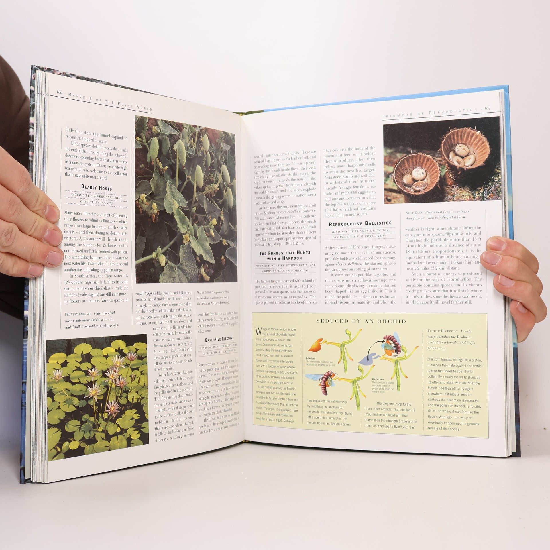 Steve Cox The Earth, Its Wonders, Its Secrets: Nature's Masterpieces