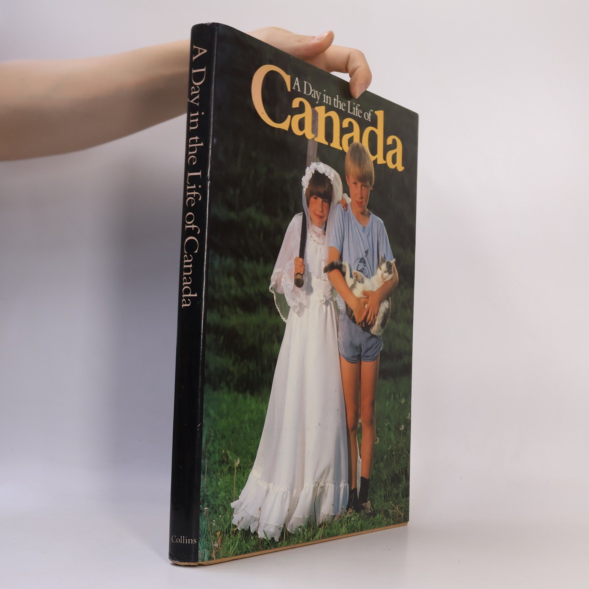 Autorenkollektiv A Day in the life of Canada