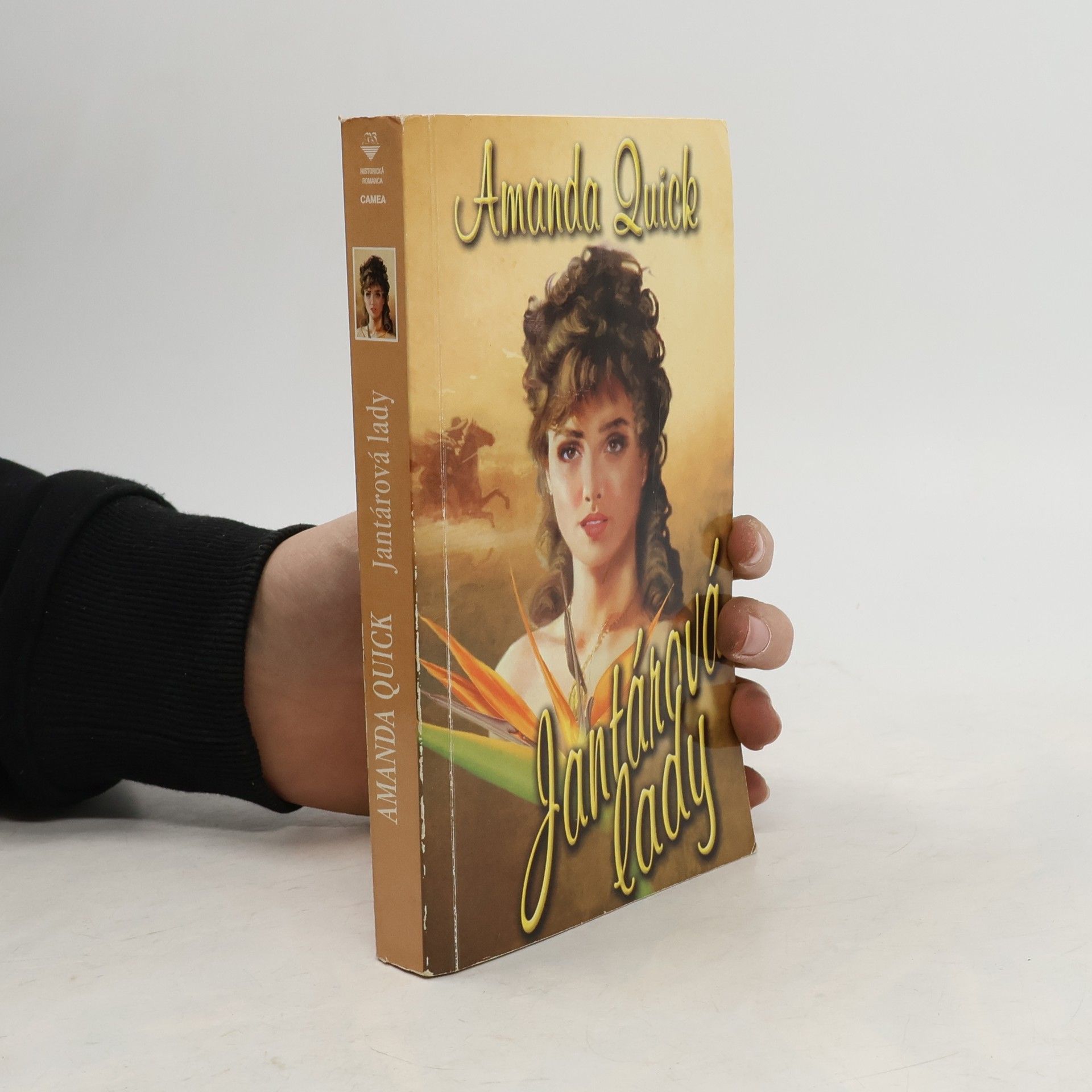 Jayne Ann Krentz Jantárová lady