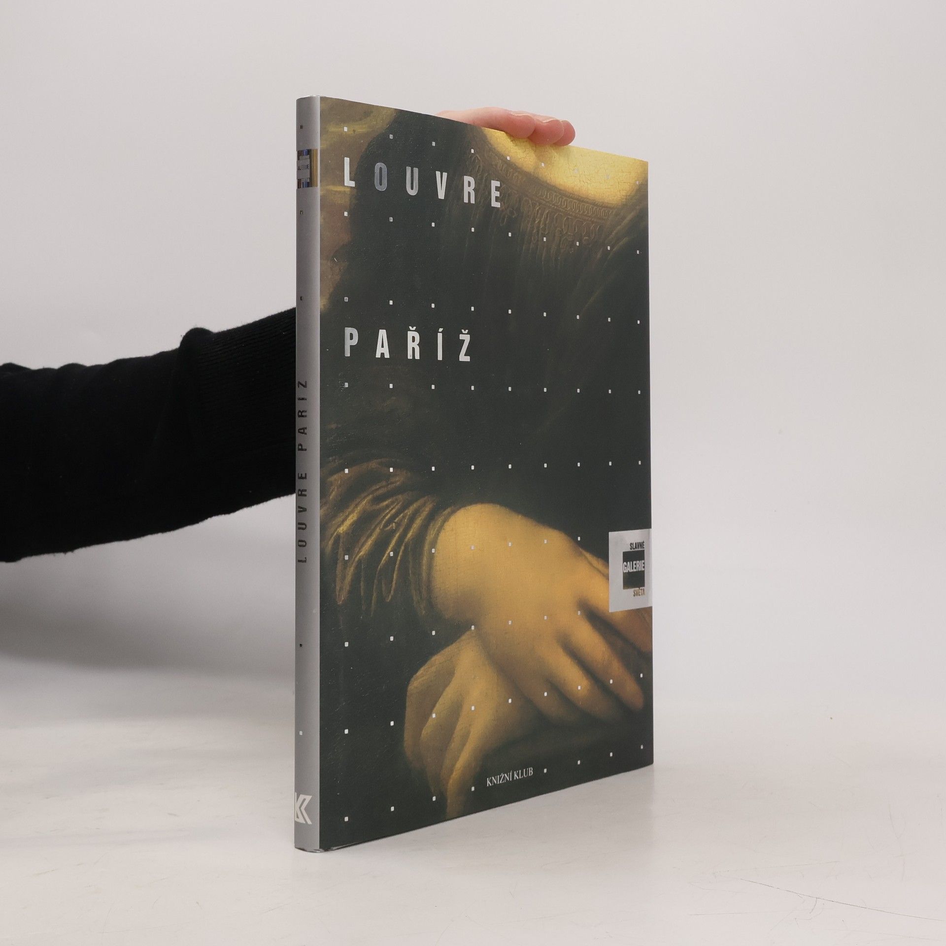 Alessandra Fregolent Slavné galerie světa. Louvre - Paříž