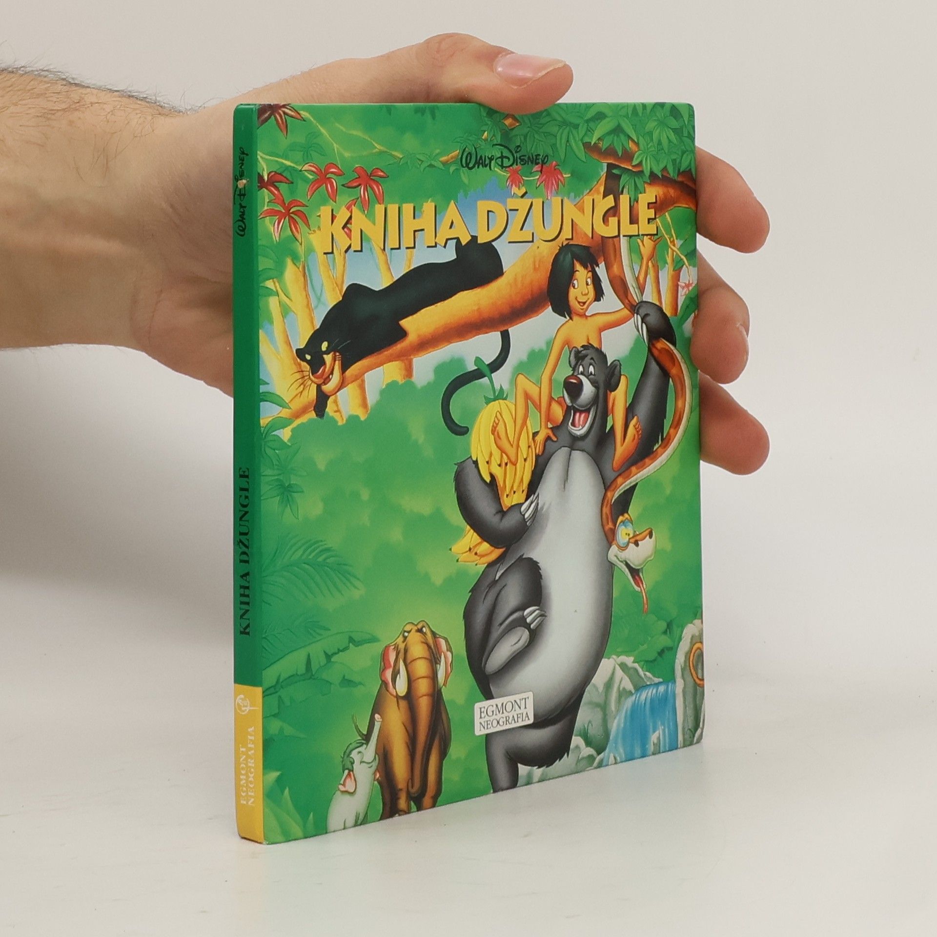 Walt Disney Kniha džungle