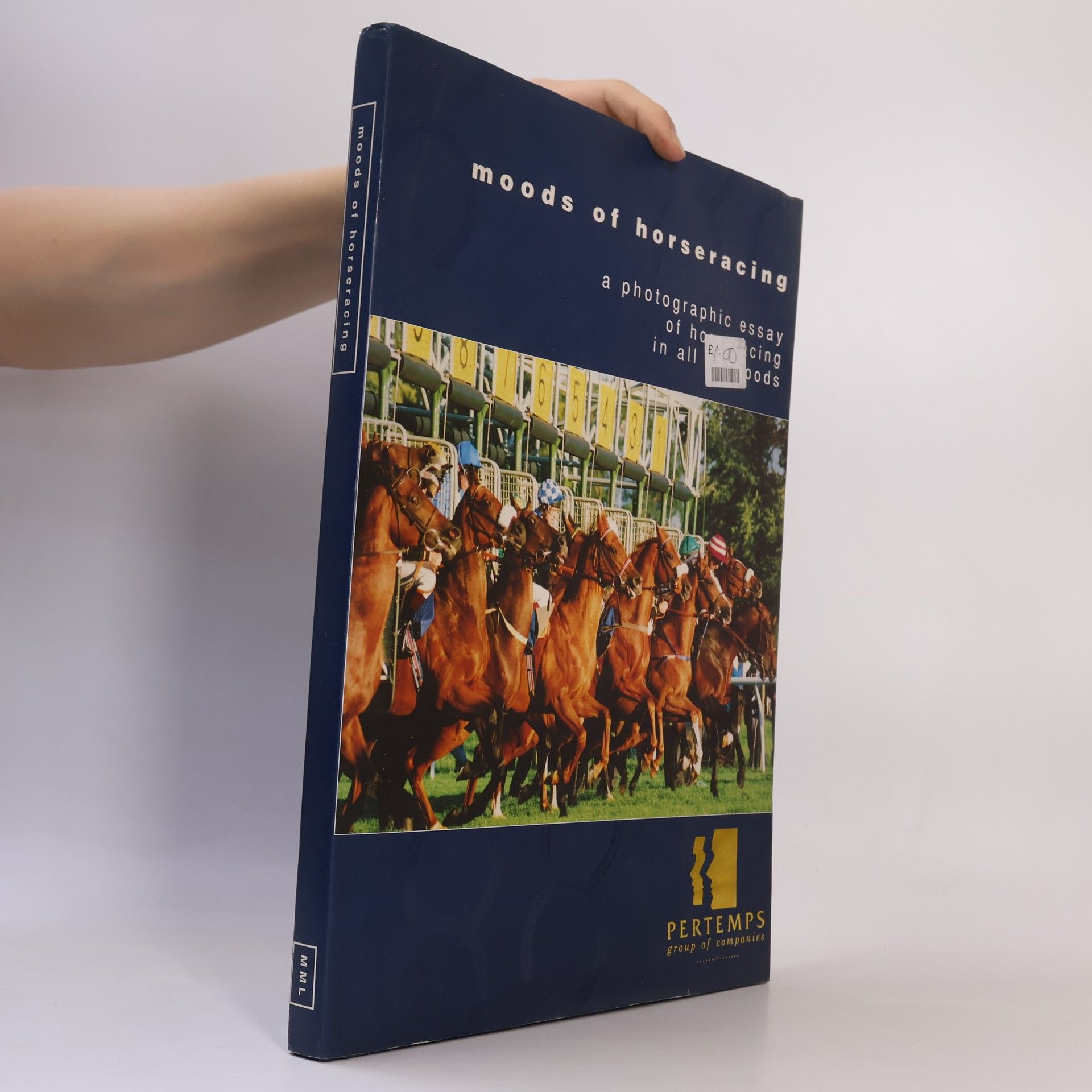 Michael Ingram The Moods of Horseracing