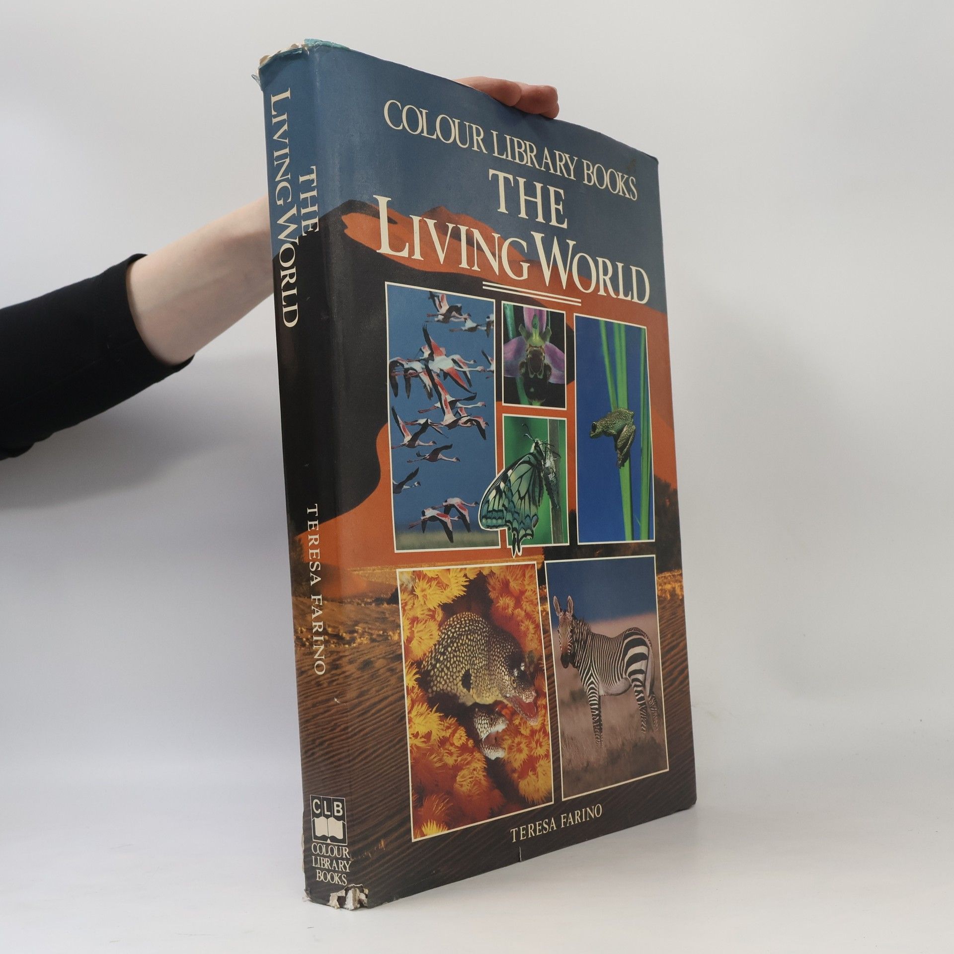 Teresa Farino The Living World