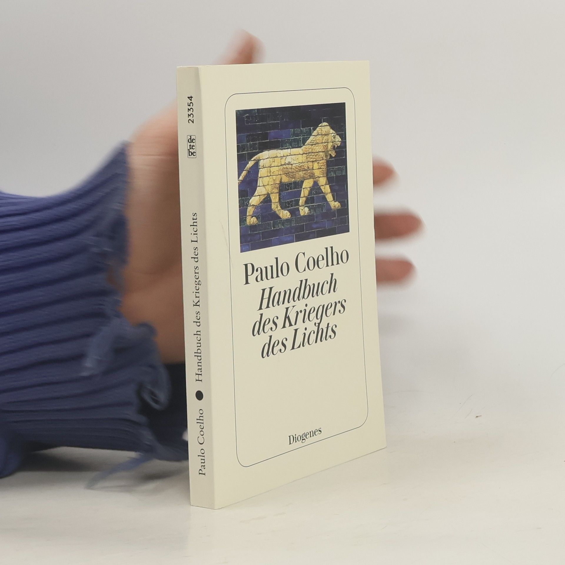 Paulo Coelho Handbuch des Kriegers des Lichts