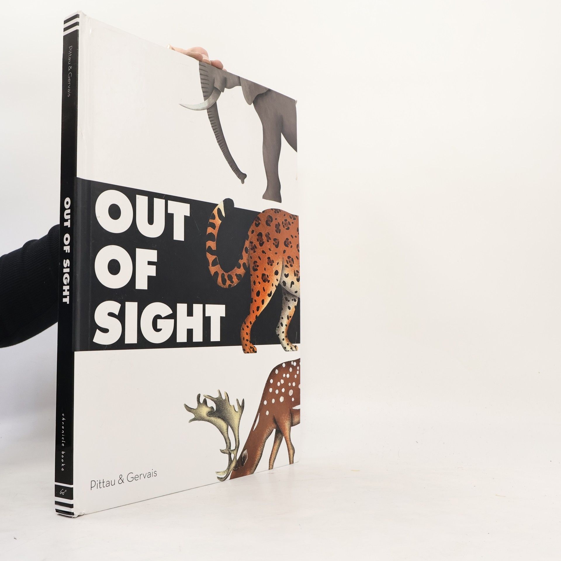 Francesco Pittau Out of Sight