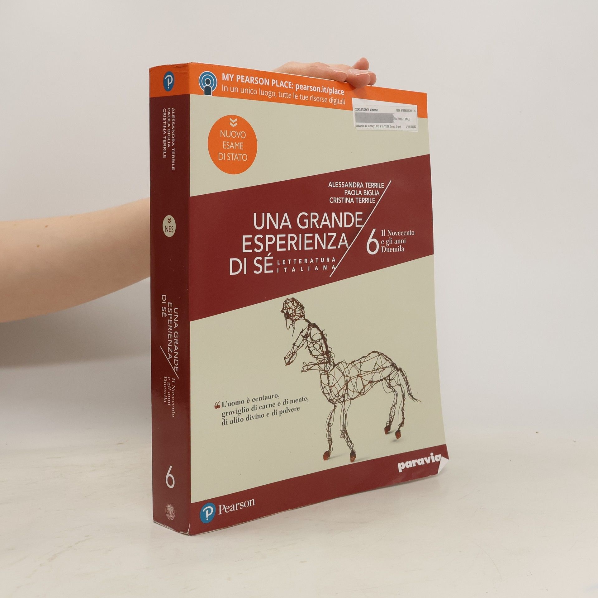 Alessandra Terrile Una grande esperienza di sé 6