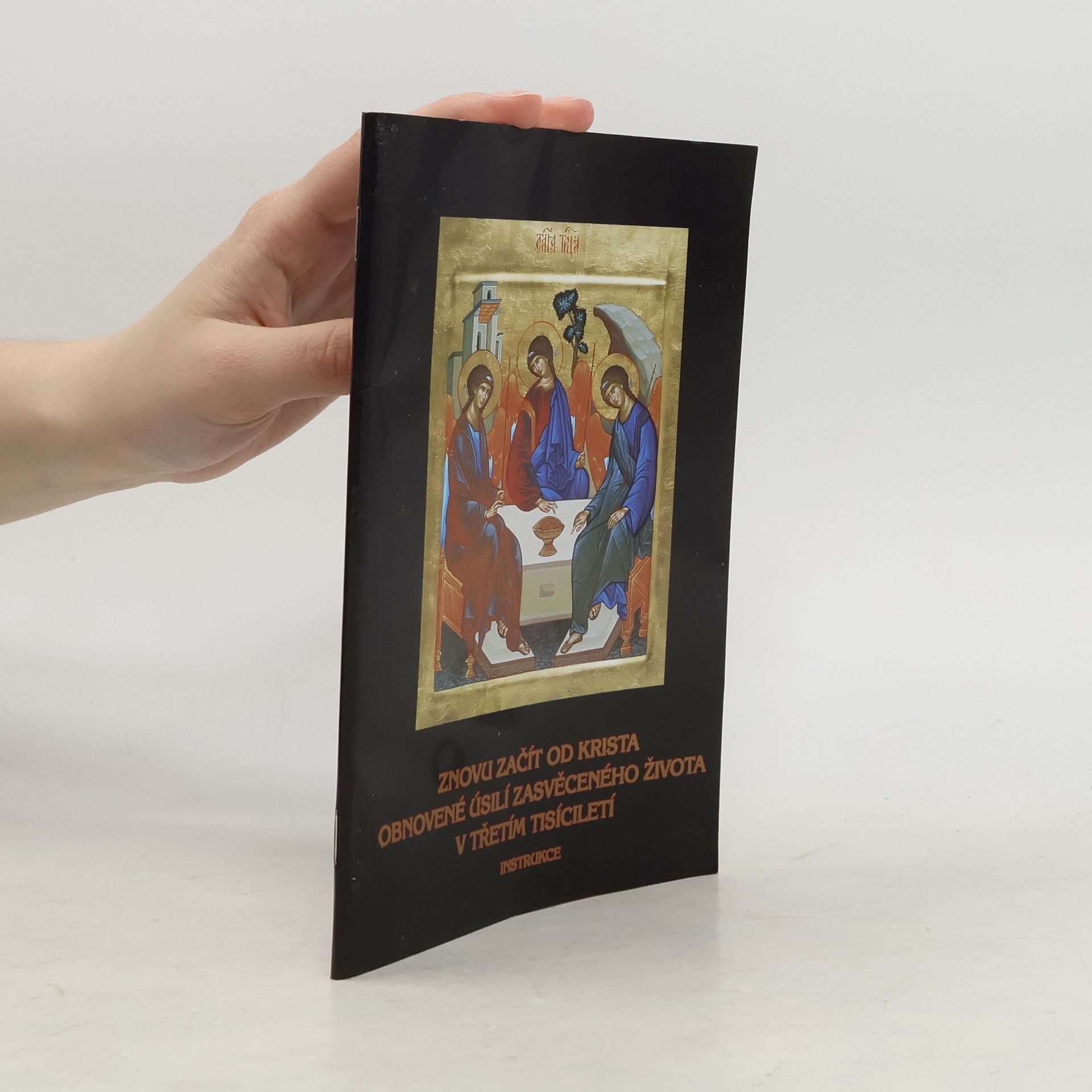 Collectif d'auteurs Znovu začít od Krista. Obnovené úsilí zasvěceného života v třetím tisíciletí: instrukce