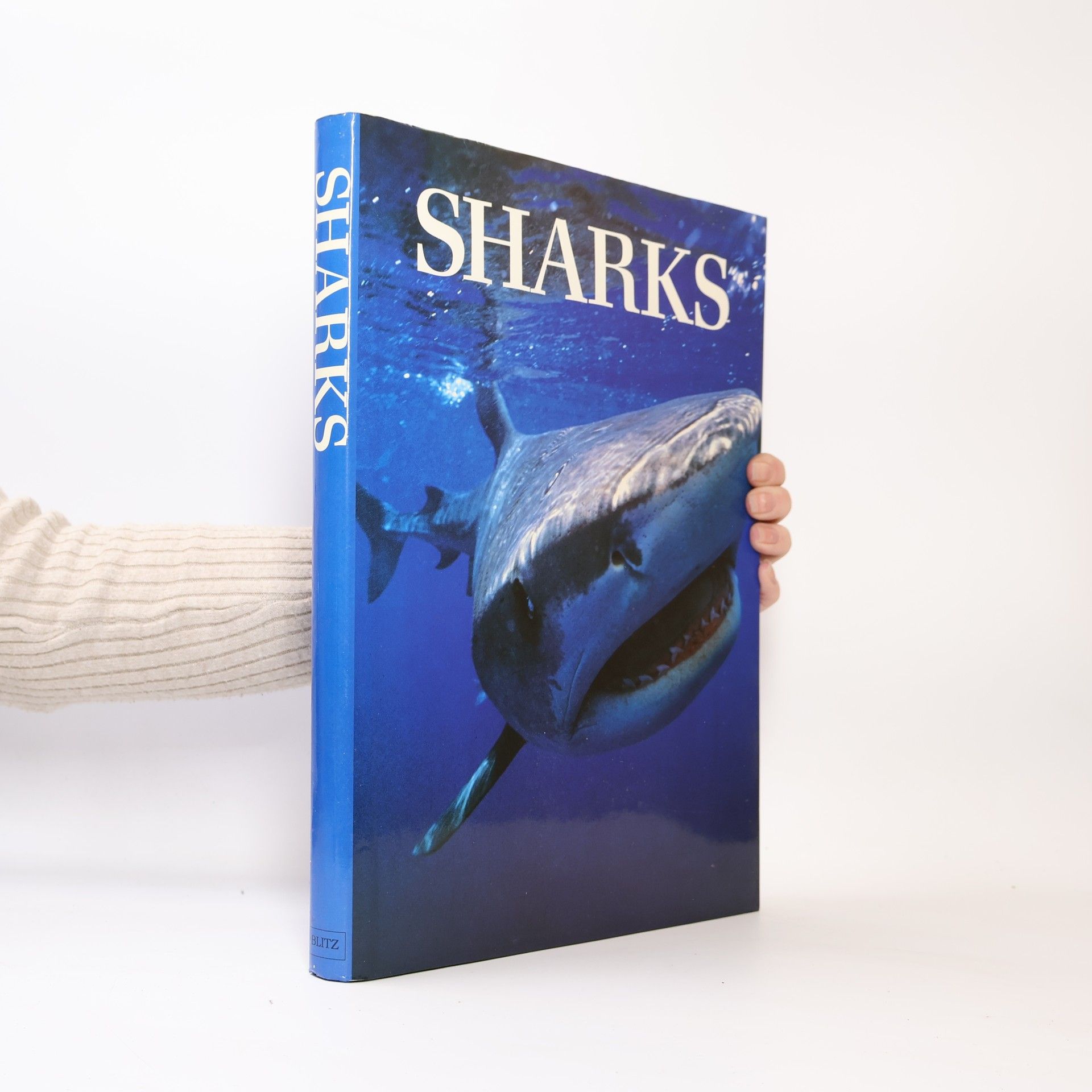 Collectif d'auteurs Sharks