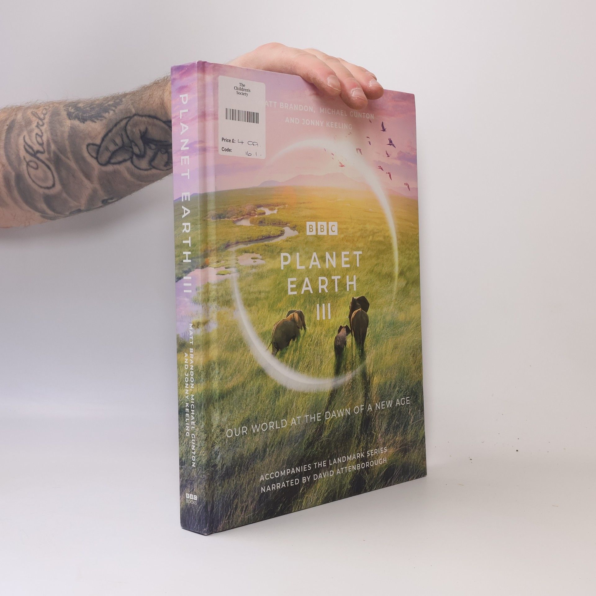 Matt Brandon Planet Earth III