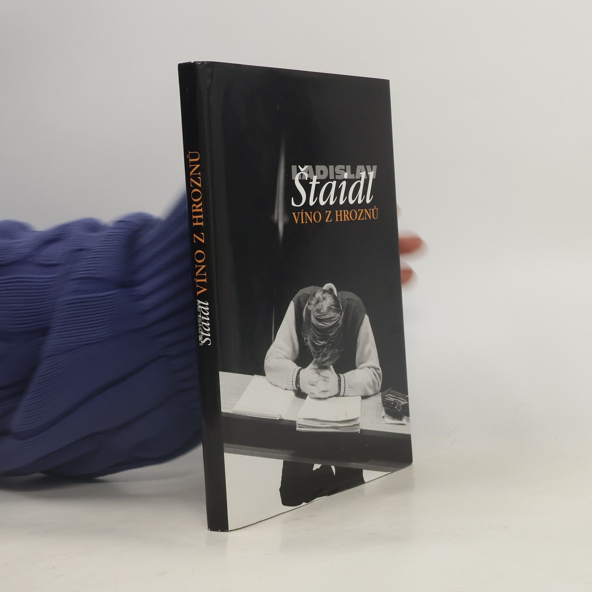 Ladislav Štaidl Víno z hroznů