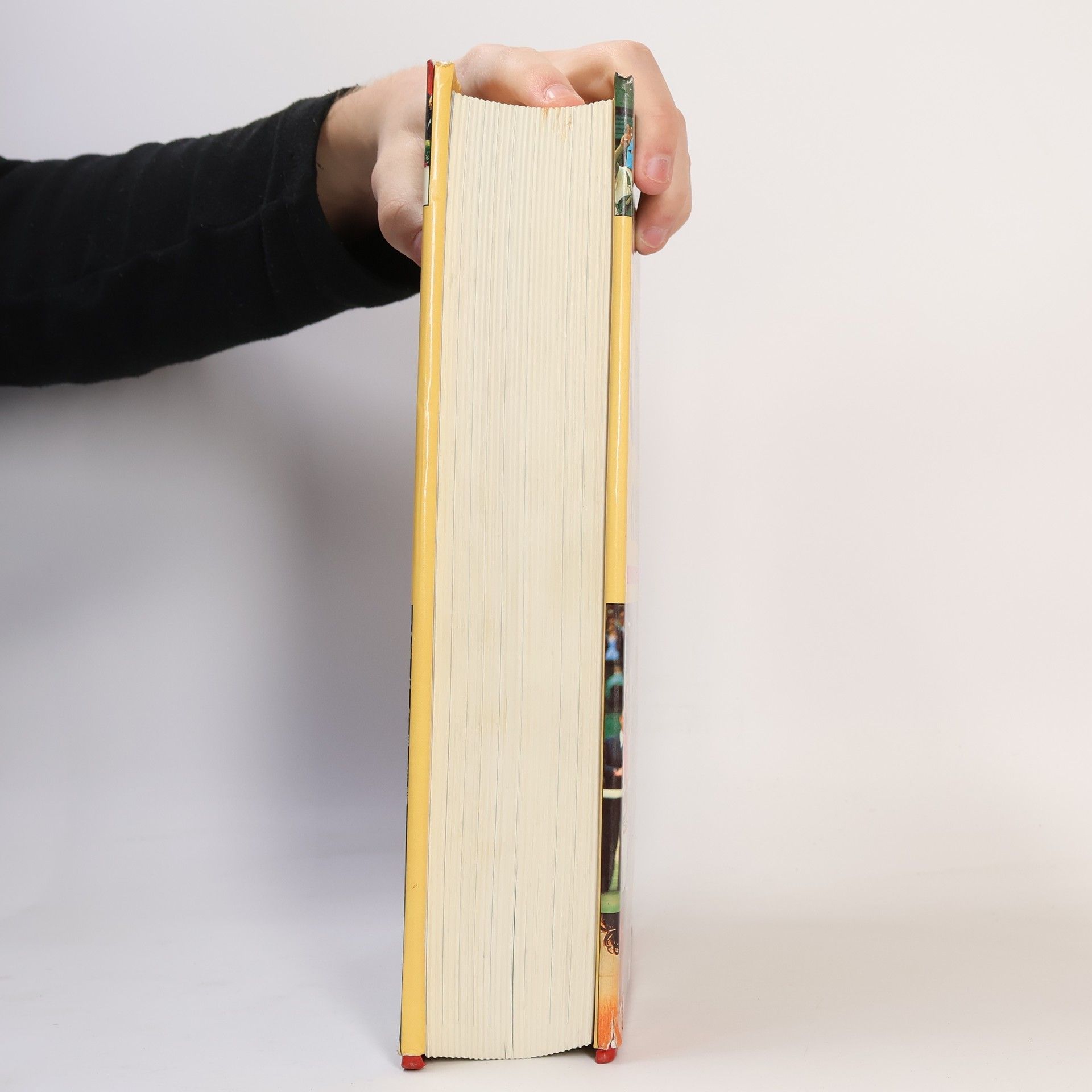 Autorenkollektiv Chronicle of the 20th Century